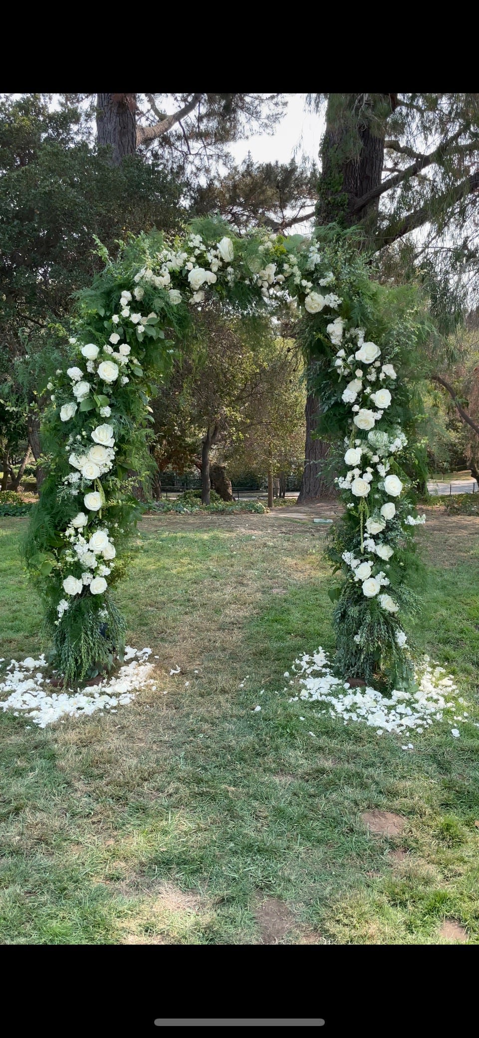White floral arch covered in roses and greenery outdoors