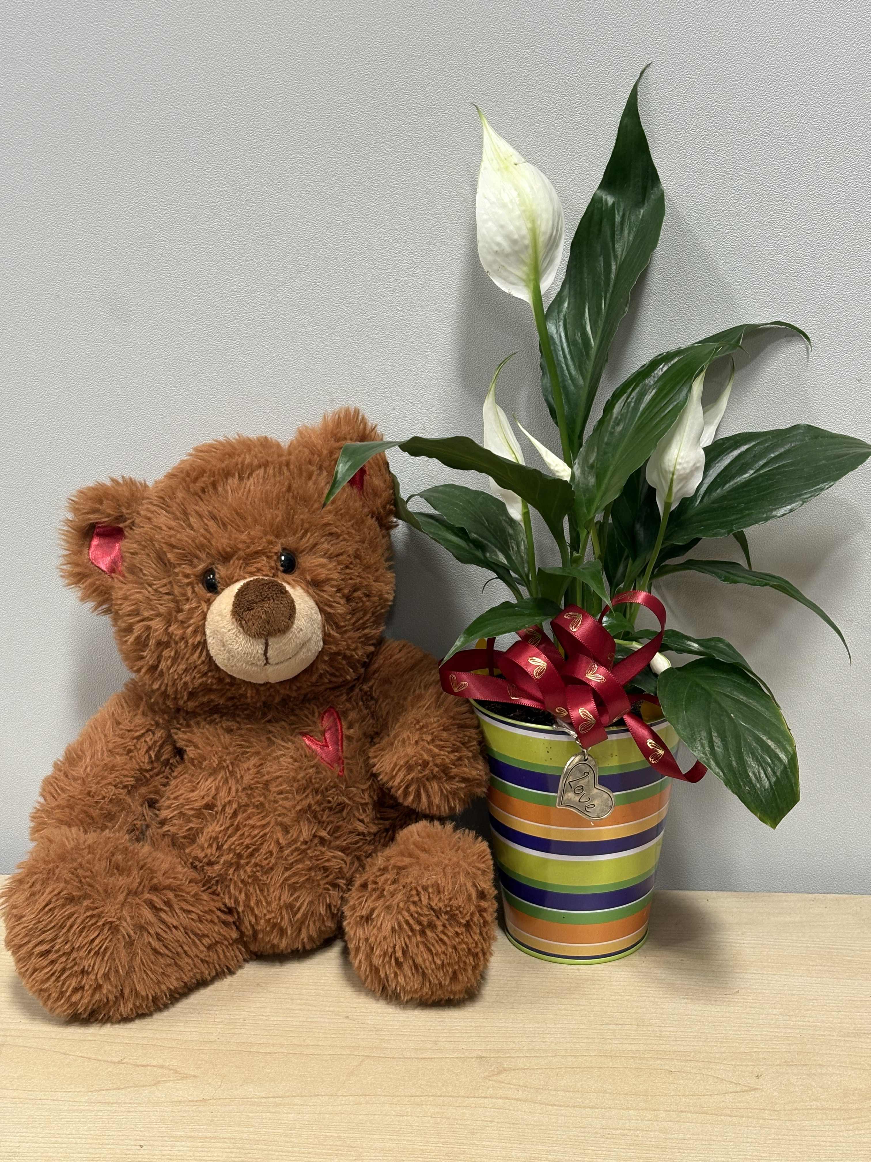 Teddy bear beside a potted peace lily with a ribbon