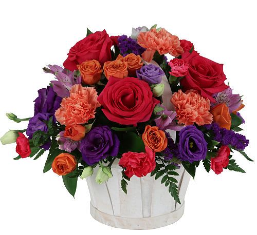 Dream in Colour Basket - Give this exciting and colourful rounded basket of flowers for any occasion this summer. Featuring spray roses, alstroemerias, miniature carnations, and more.