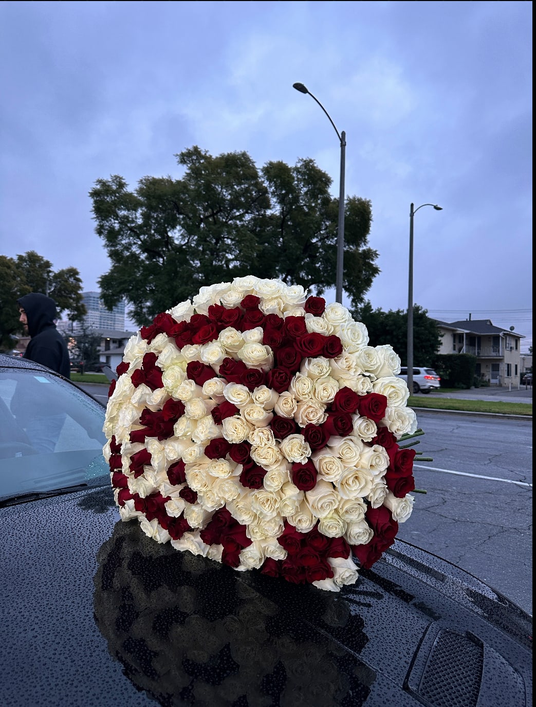 Large bouquet of red and white roses resting on a car hood