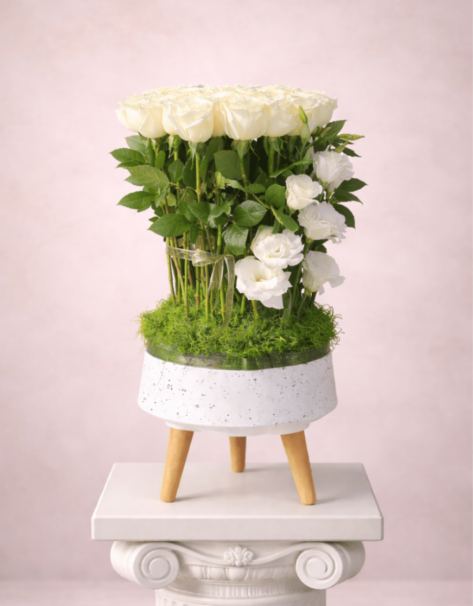 White roses arranged in a small white planter on a stand
