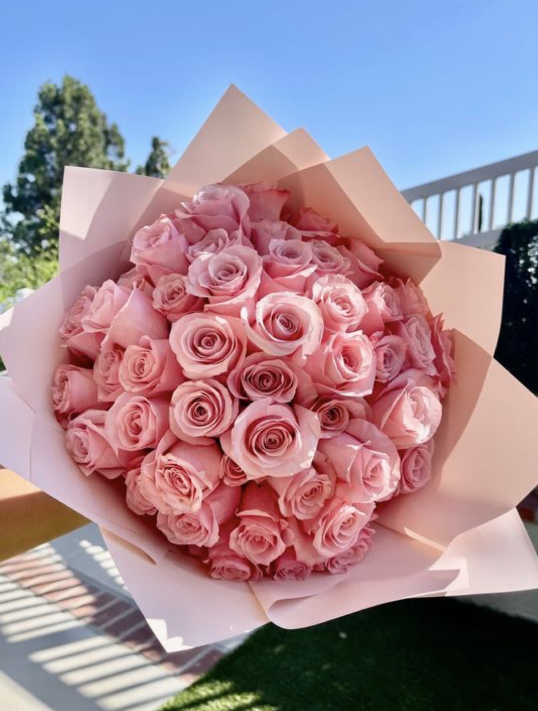 Rosey Rose - Great 24 count roses in pink 