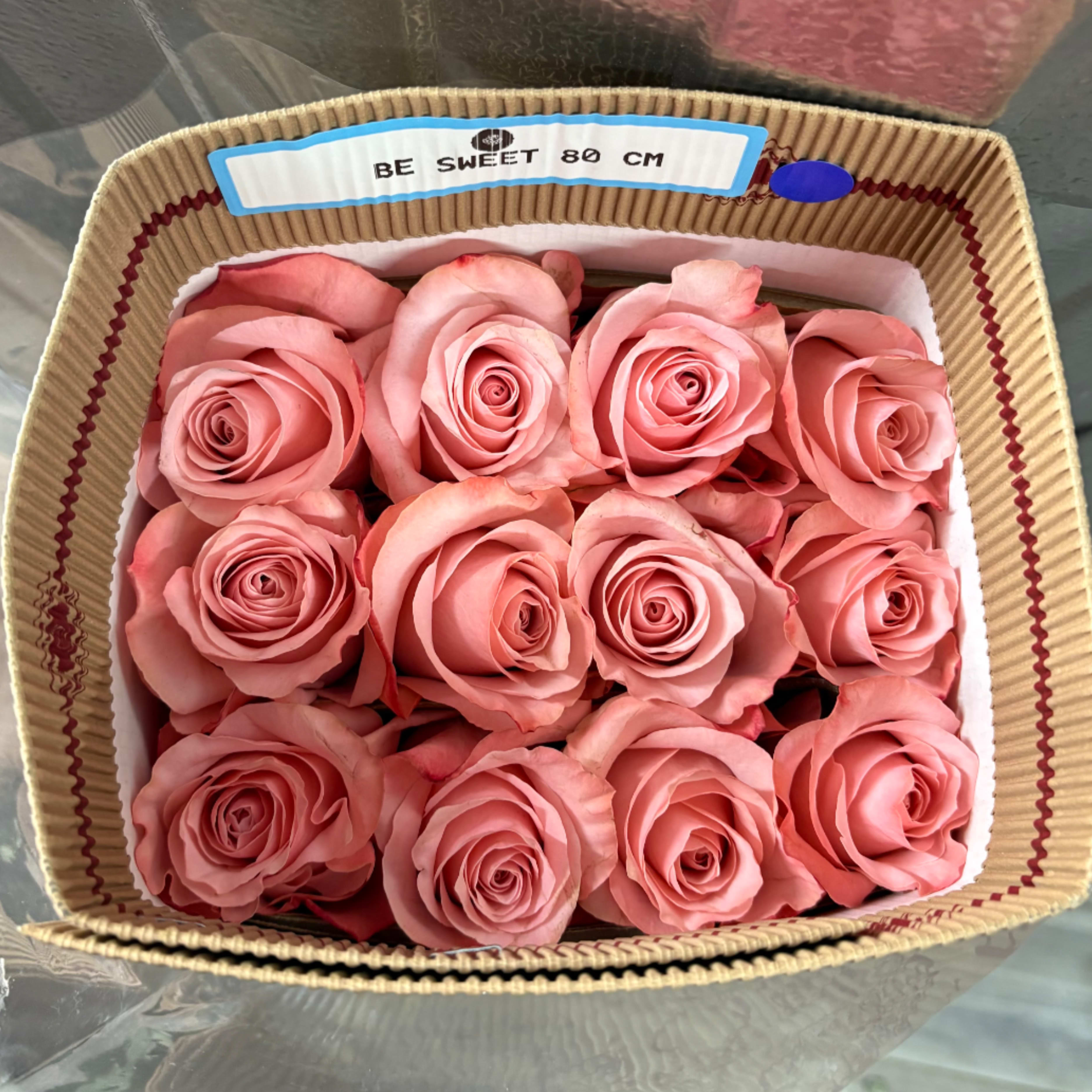 PINK BUNDLE - WHOLESALE BUNDLE IN SHADE PINK 25 ROSES INSIDE BUNDLE 