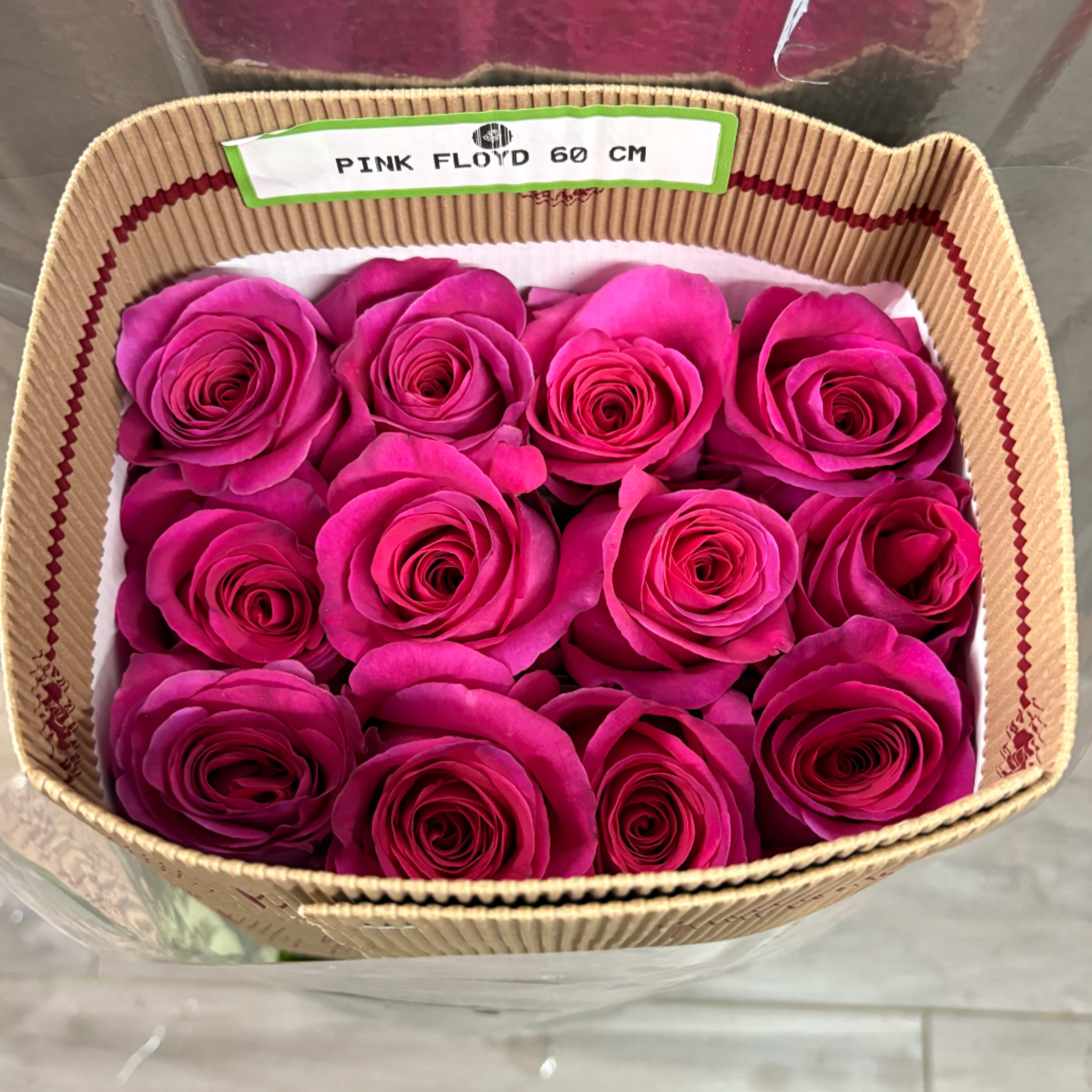 HOT PINK BUNDLE - WHOLESALE BUNDLE HOT PINK SHADE BUNDLE INCLUDES 25 ROSES INSIDE 