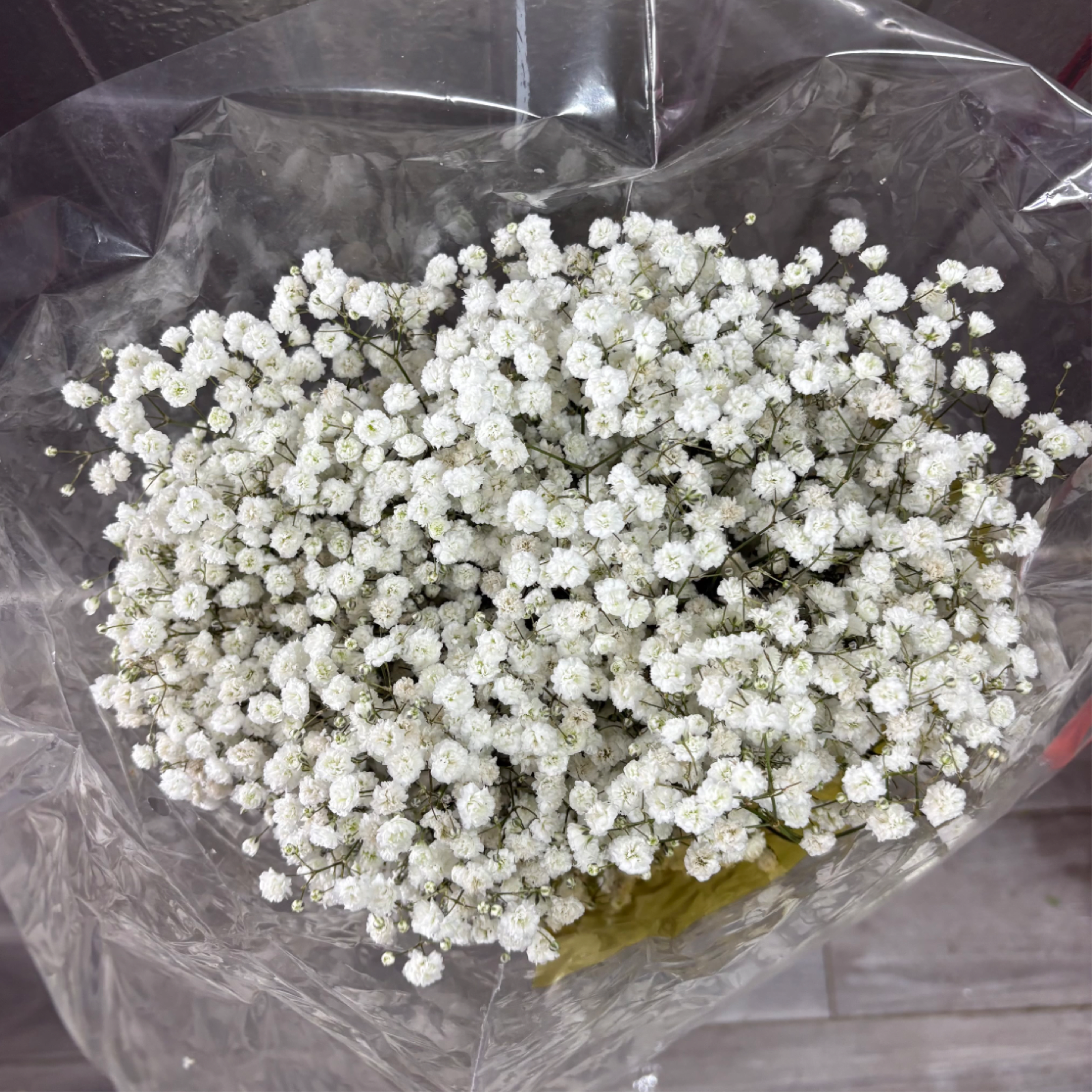 BABY BREATH BUNDLE - WHOLESALE BABY BREATH BUNDLE
