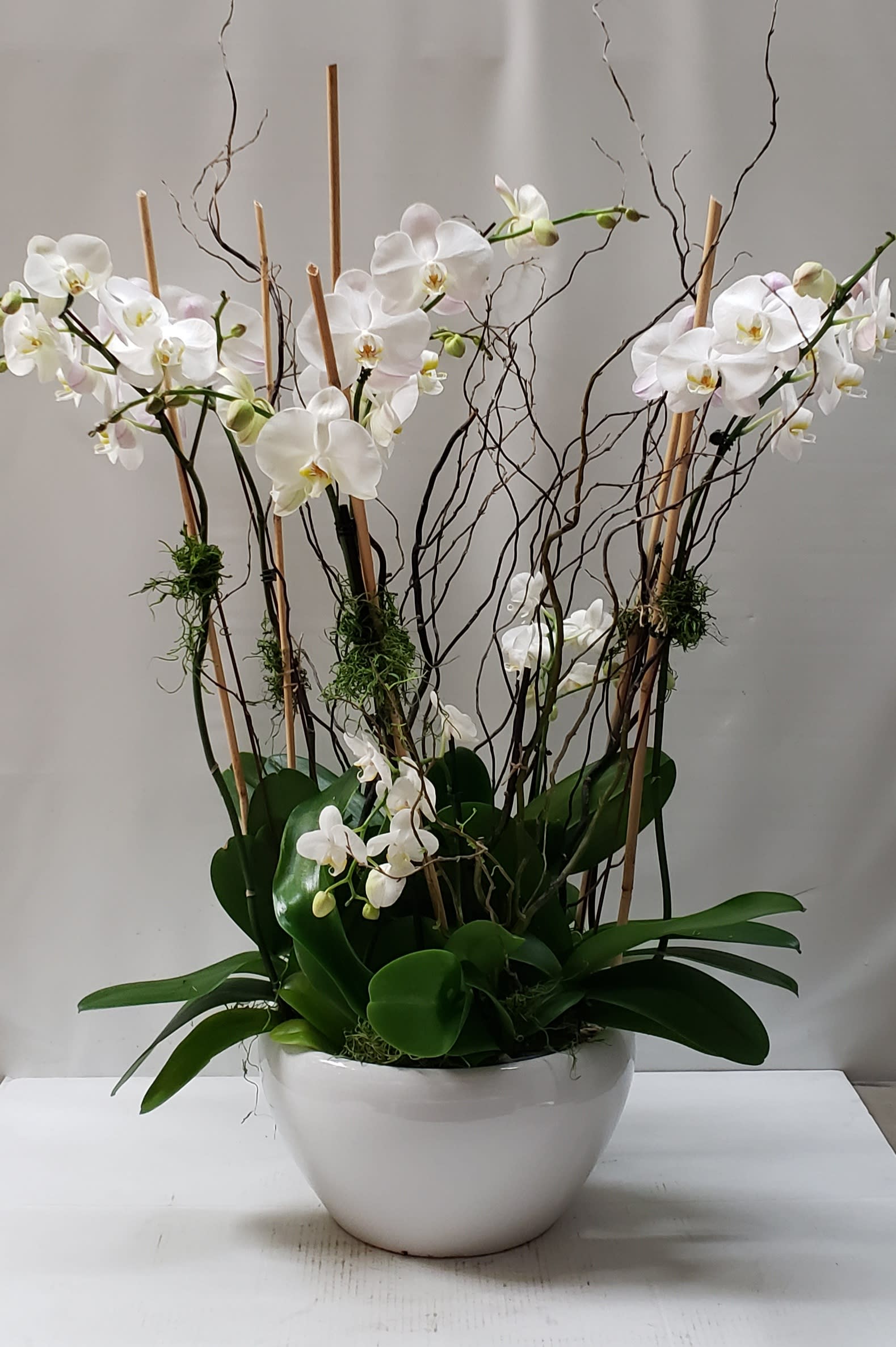 White orchids arranged in a white bowl with tall branches