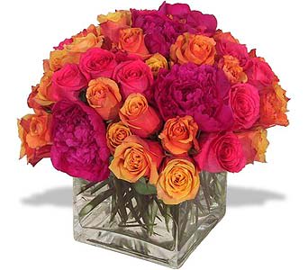 Compact arrangement of hot pink and orange roses in a clear glass cube vase