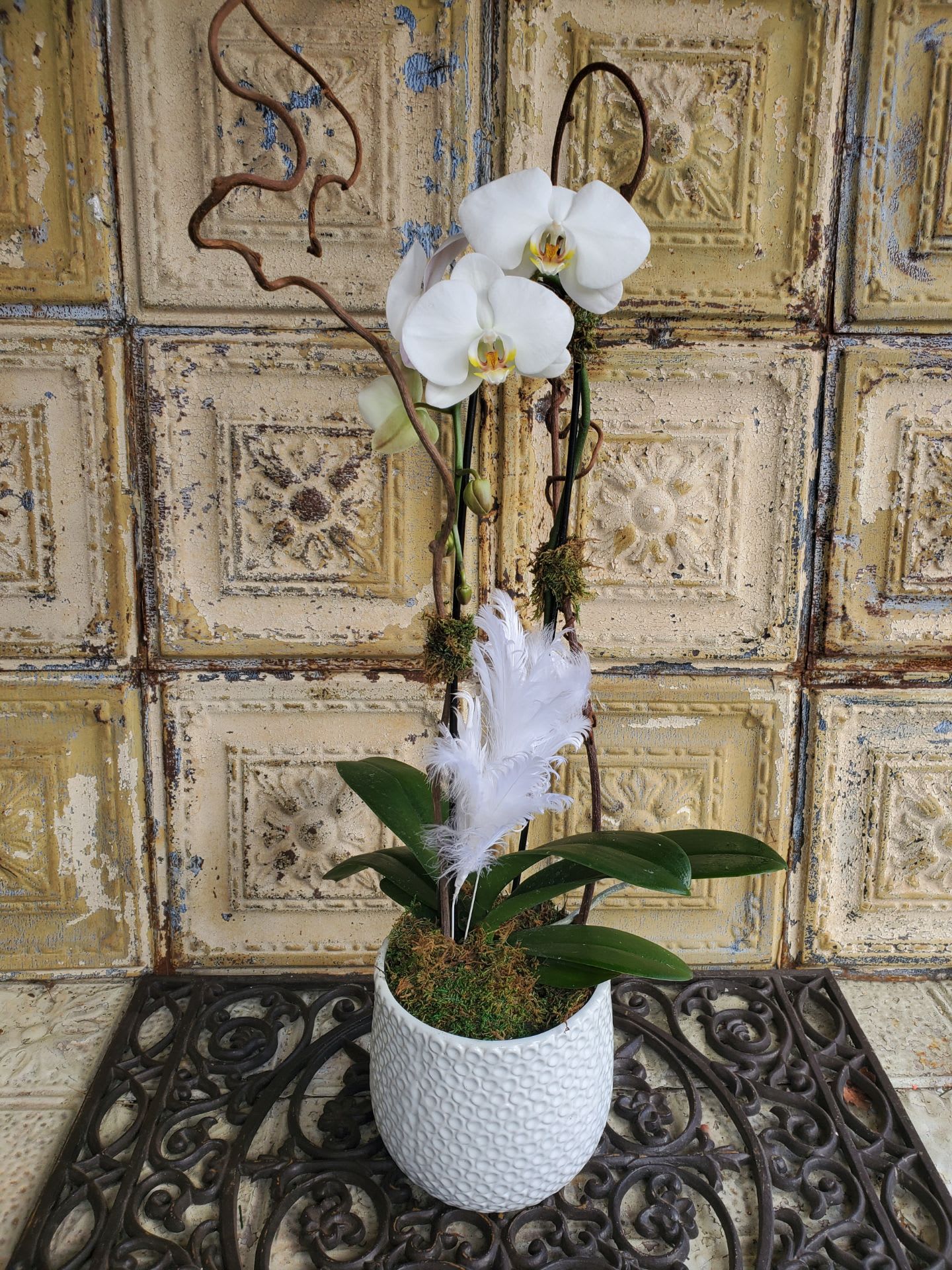 White orchids in a textured white pot with decorative feathers