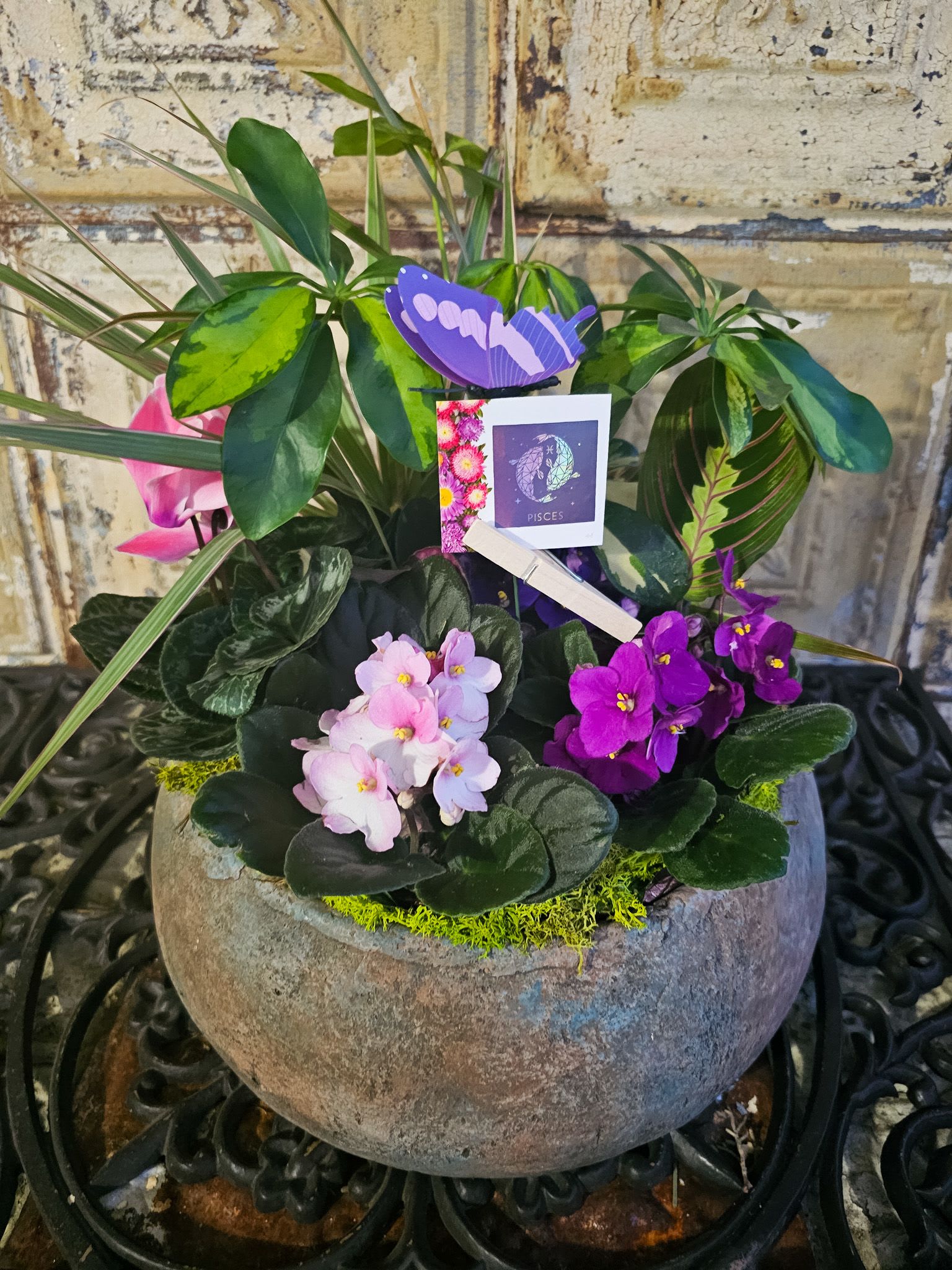 Potted arrangement of purple and pink flowers with a Pisces card