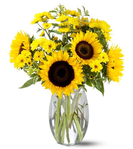 Sunflower and yellow daisy bouquet in a clear glass vase