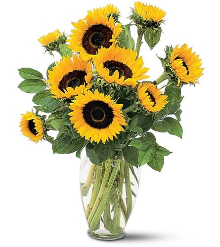 Sunflower bouquet in a clear glass vase