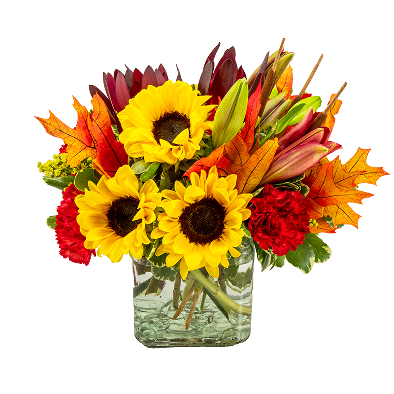 Sunflower bouquet in a square glass vase with autumn leaves