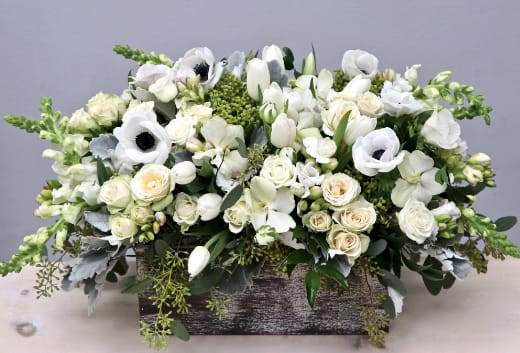 Anemone Box - WeHo - In this beautiful arrangement we have anemones as the focus of this arrangement. We use tulips, dusty miller, roses and seasonal flowers to make sure it's large, full and beautiful. It's approximately 16'' wide and 16'' tall.