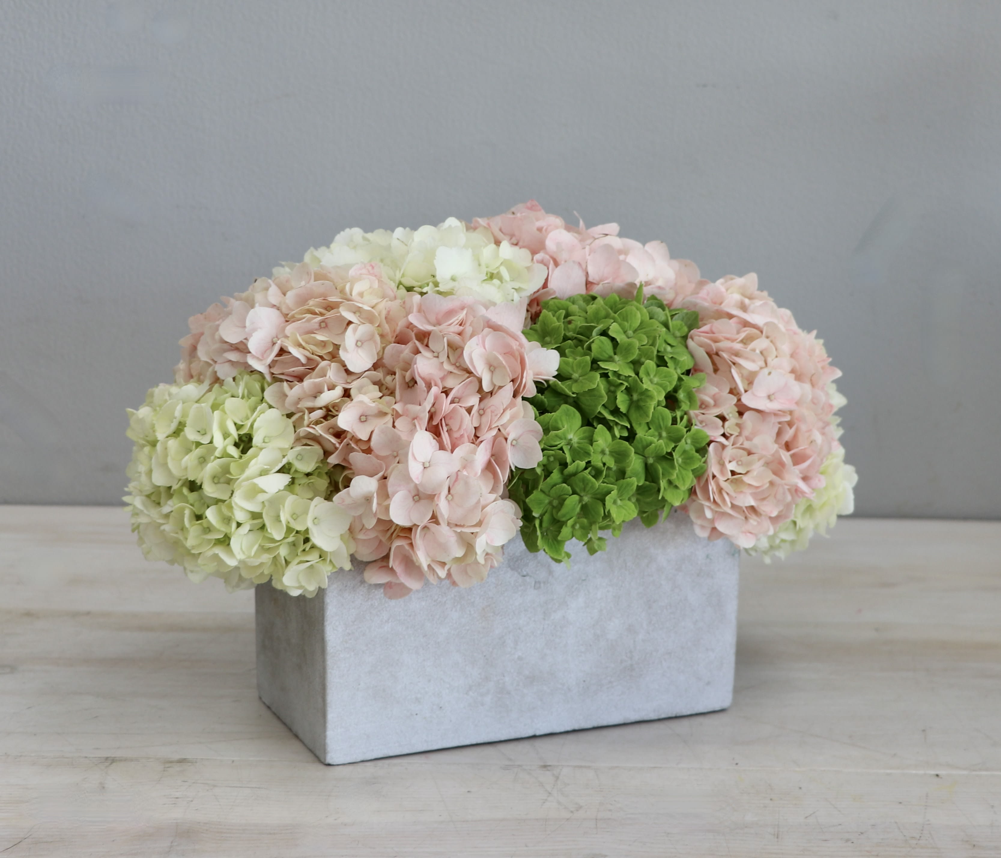 Low arrangement of pastel and green hydrangeas in a rectangular gray concrete container
