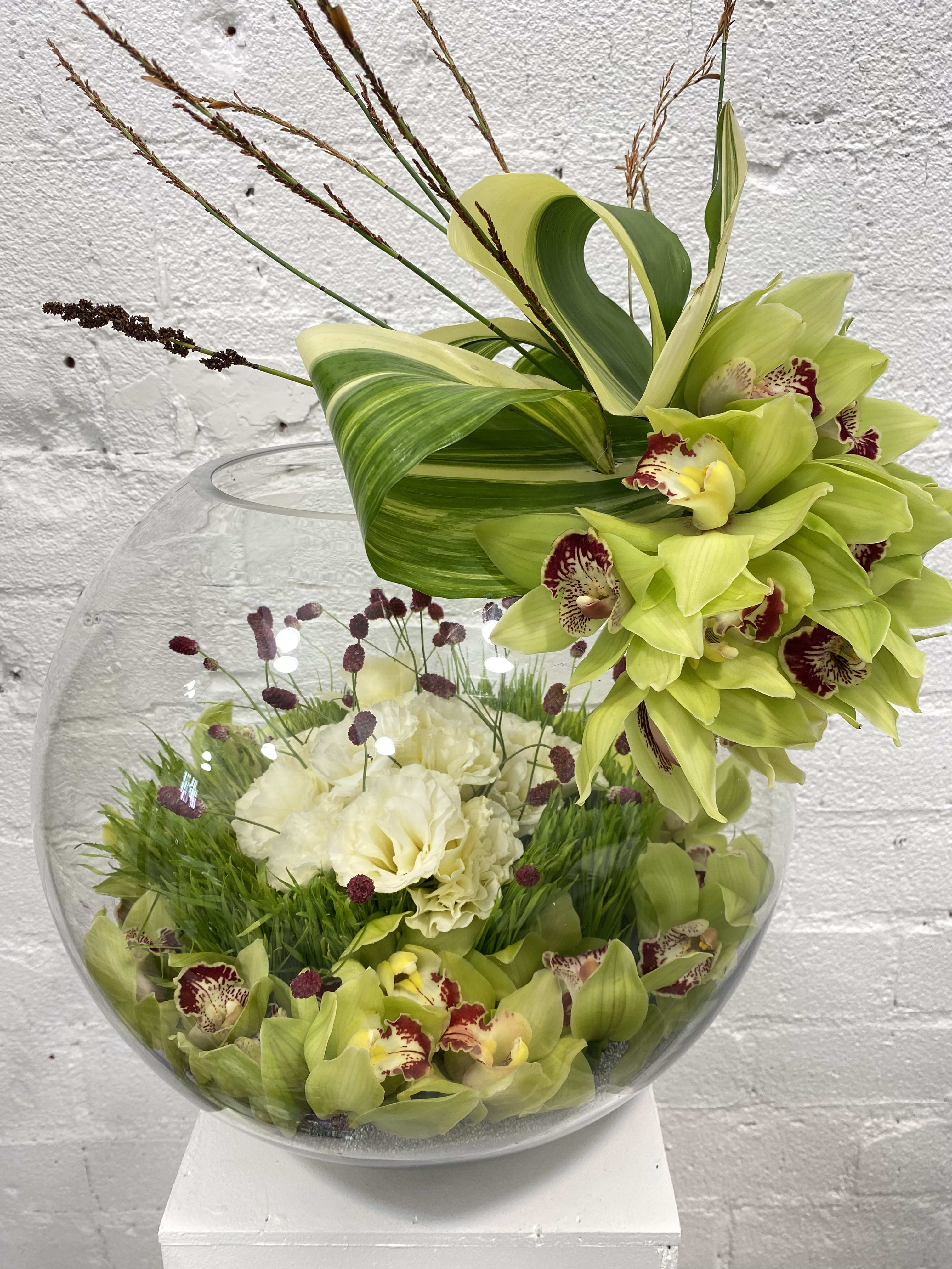 Green orchids arranged in a glass bowl with white flowers and burgundy accents