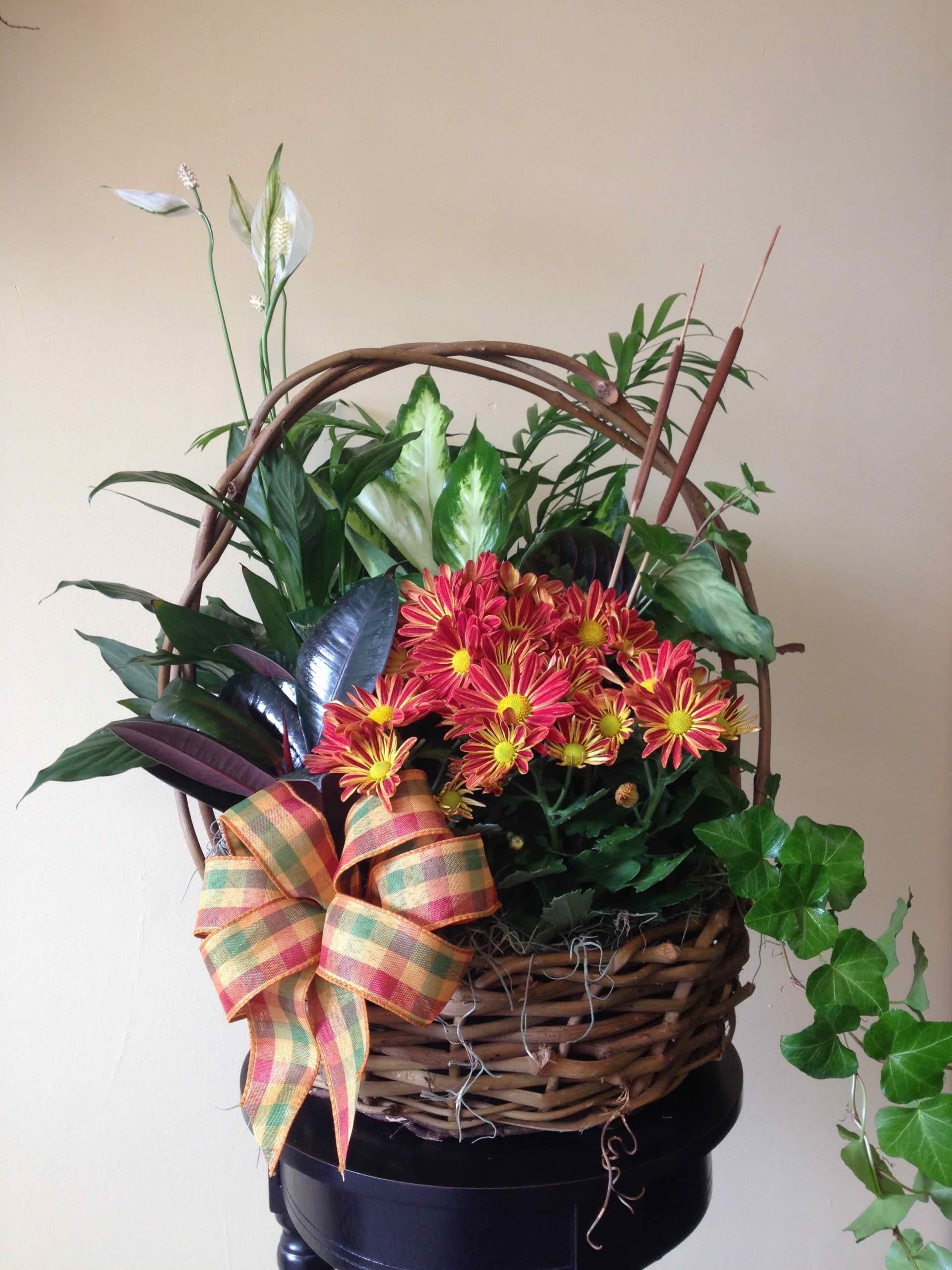 Basket arrangement with pink daisies and mixed greenery, finished with a plaid bow