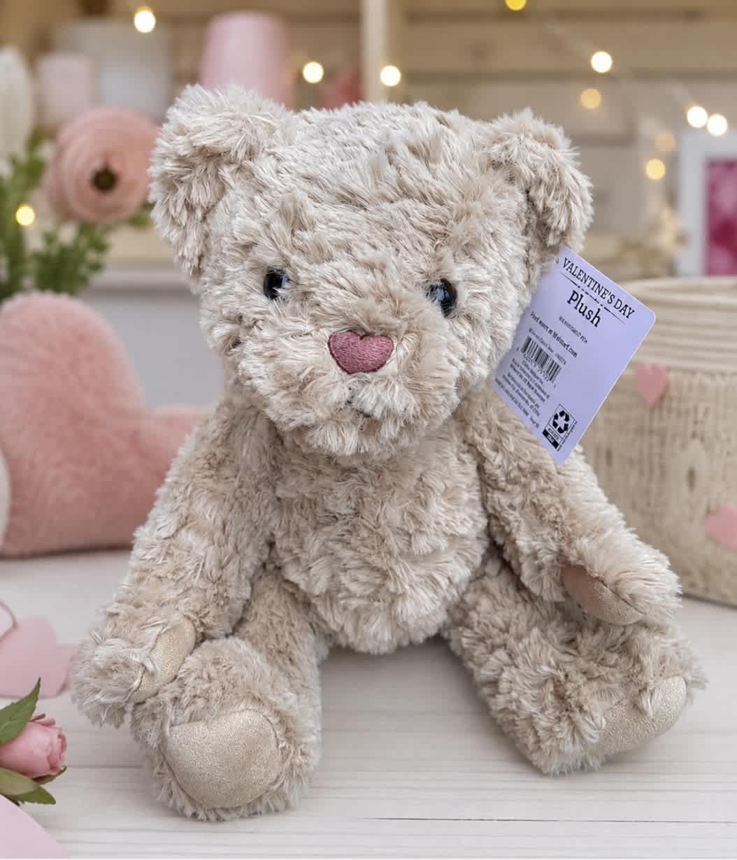 Plush teddy bear with a pink heart nose and Valentine’s Day tag