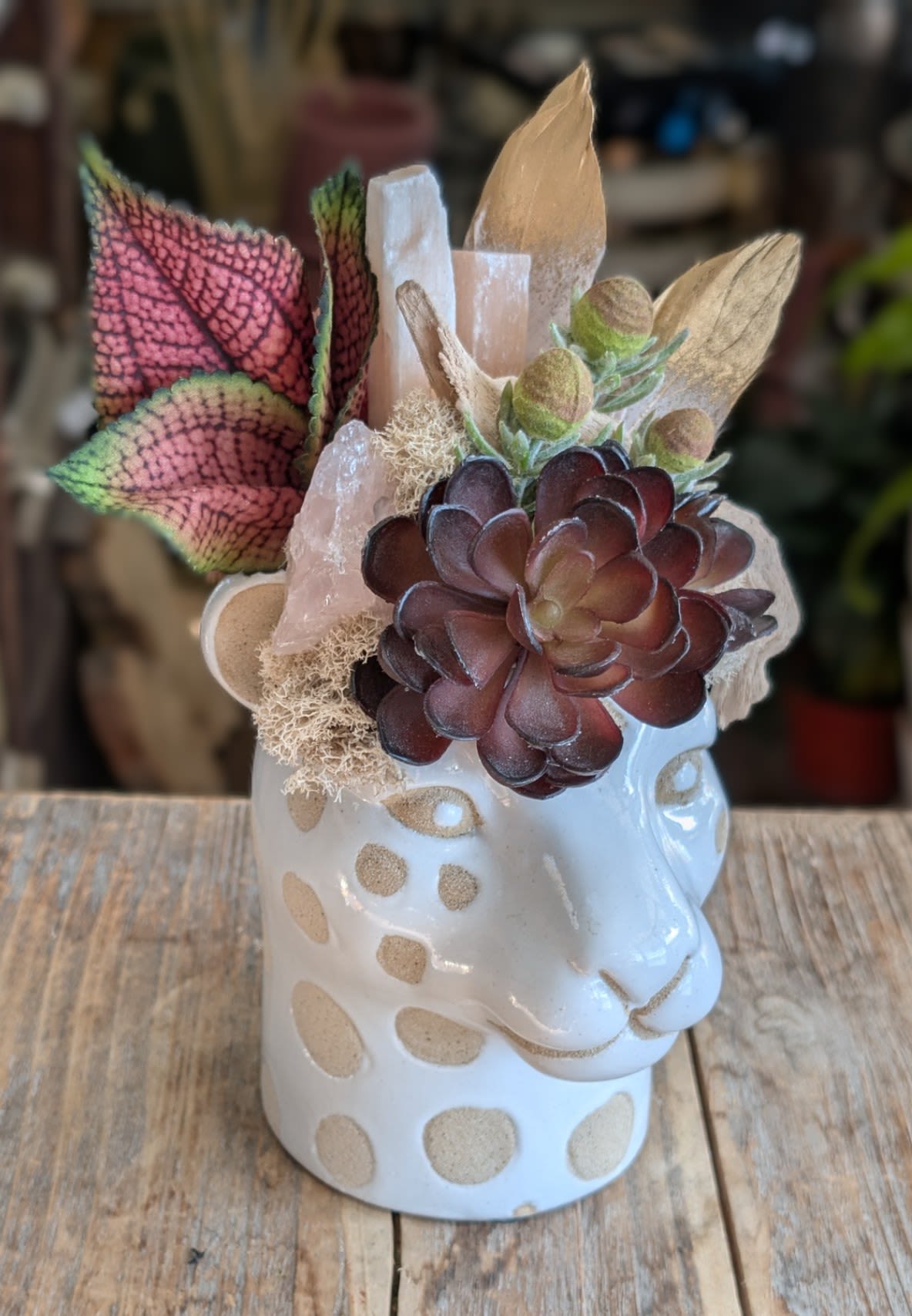Succulent arrangement in a white spotted ceramic face vase