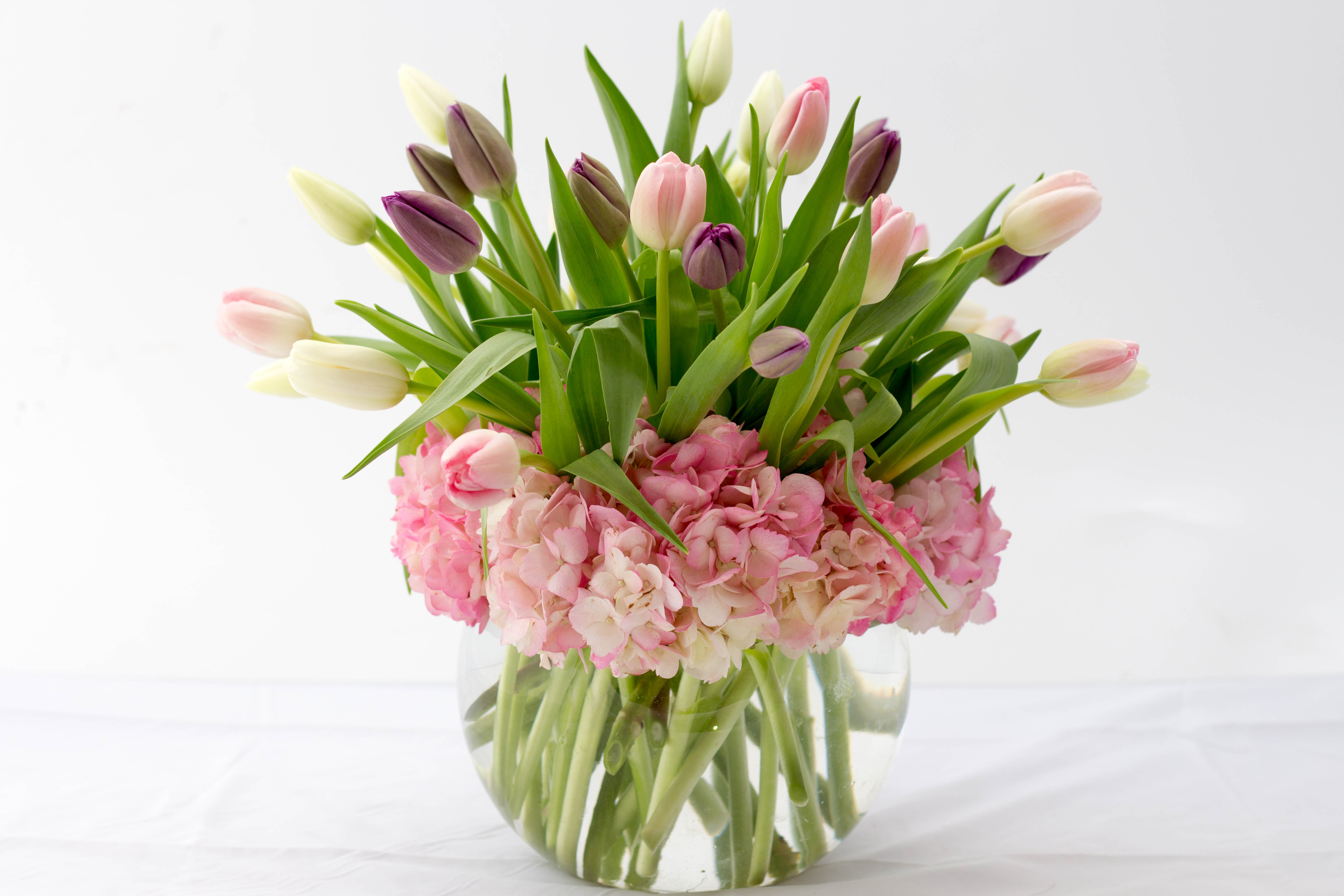 Pink and purple tulips arranged with pink hydrangeas in a clear glass vase