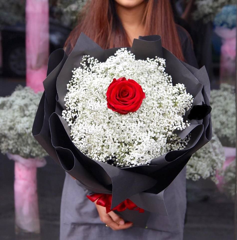 Bouquet of one red rose surrounded by white baby's breath in black wrap
