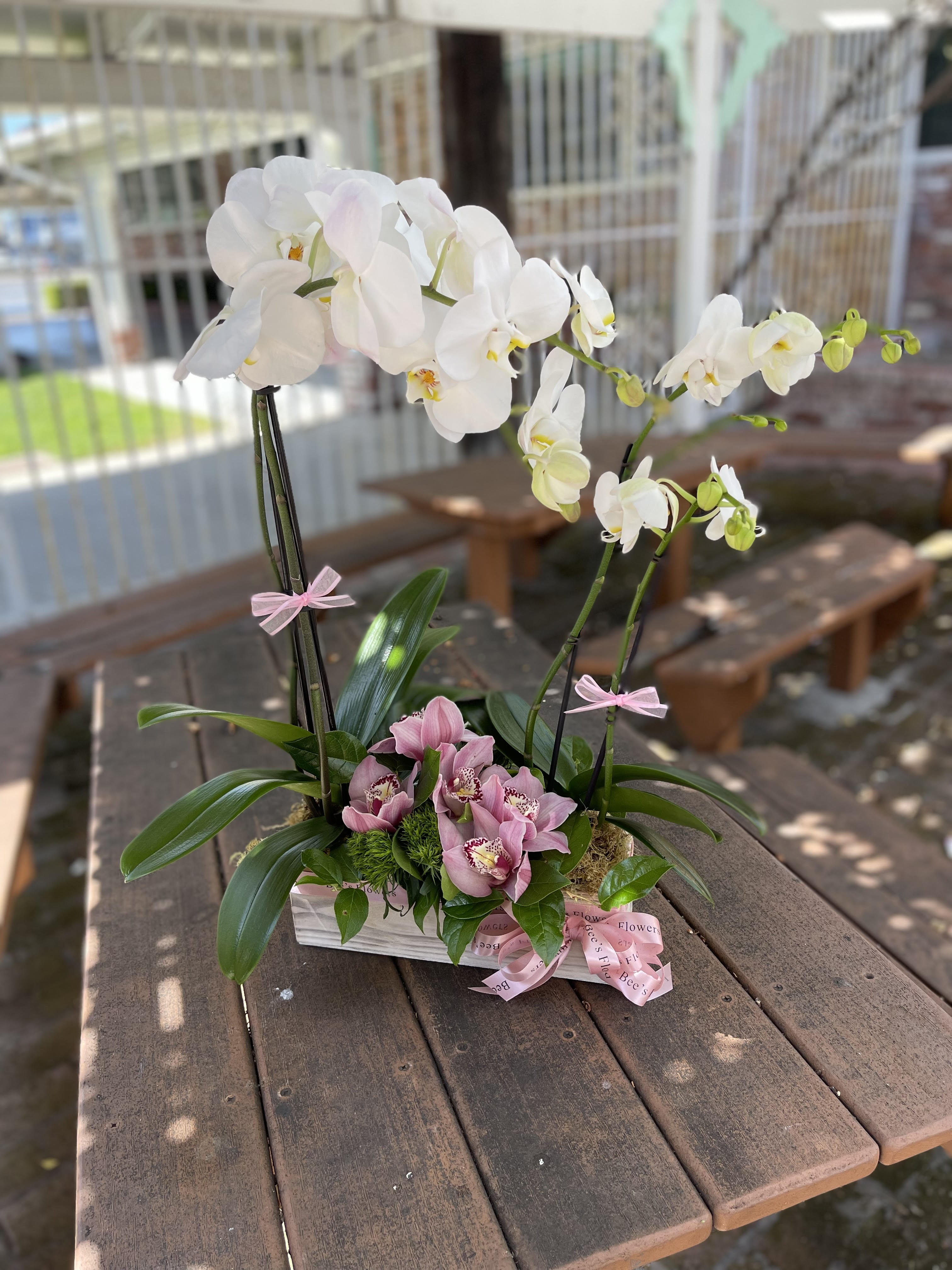 White and pink orchids arranged in a rectangular planter with ribbon bows.