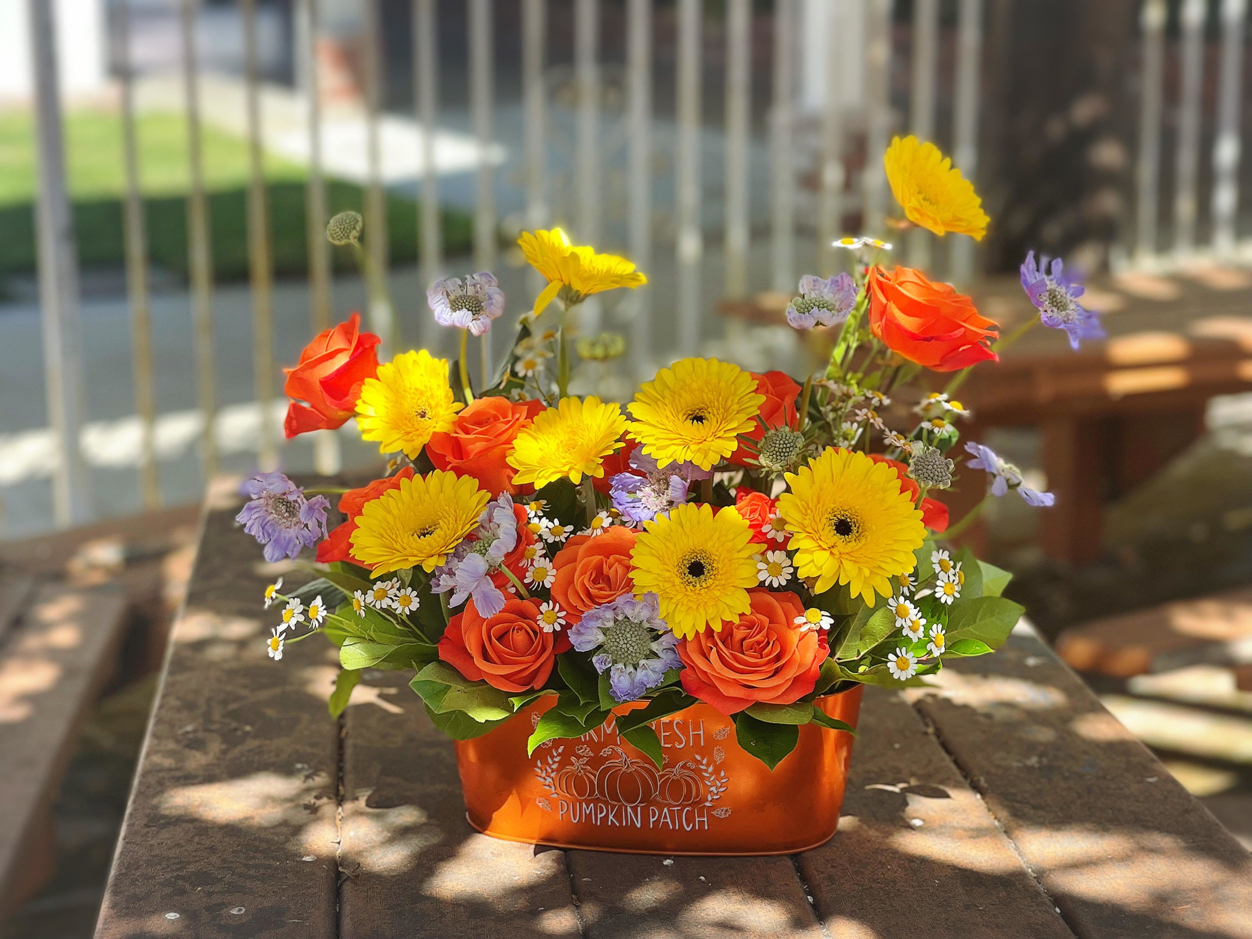 Farm Fresh - - 10 Orange Roses - 8 Yellow Gerbers - Fillers and Greenery - Metal Bucket