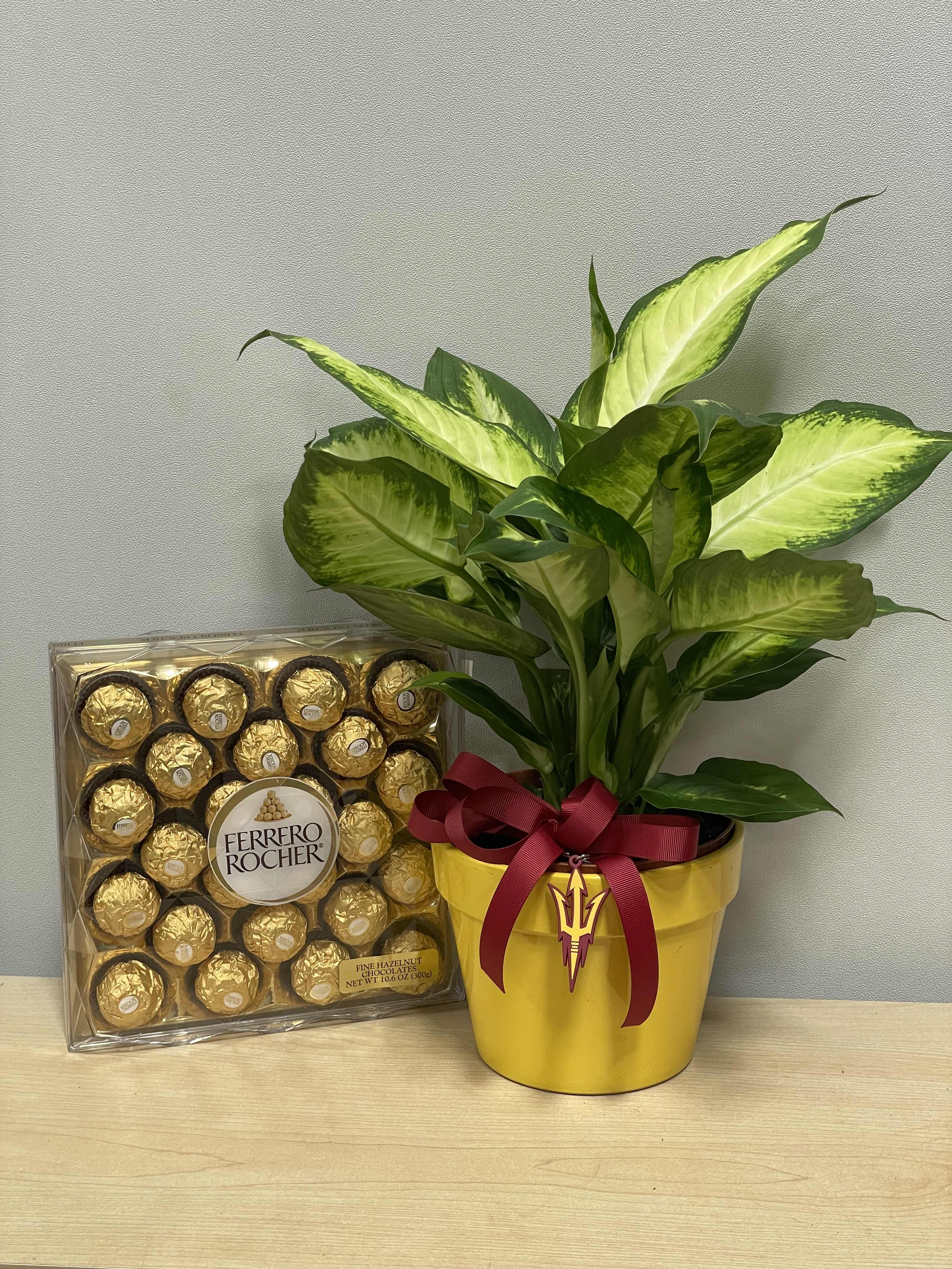 ASu Plant &amp; Chocolates  - As shown