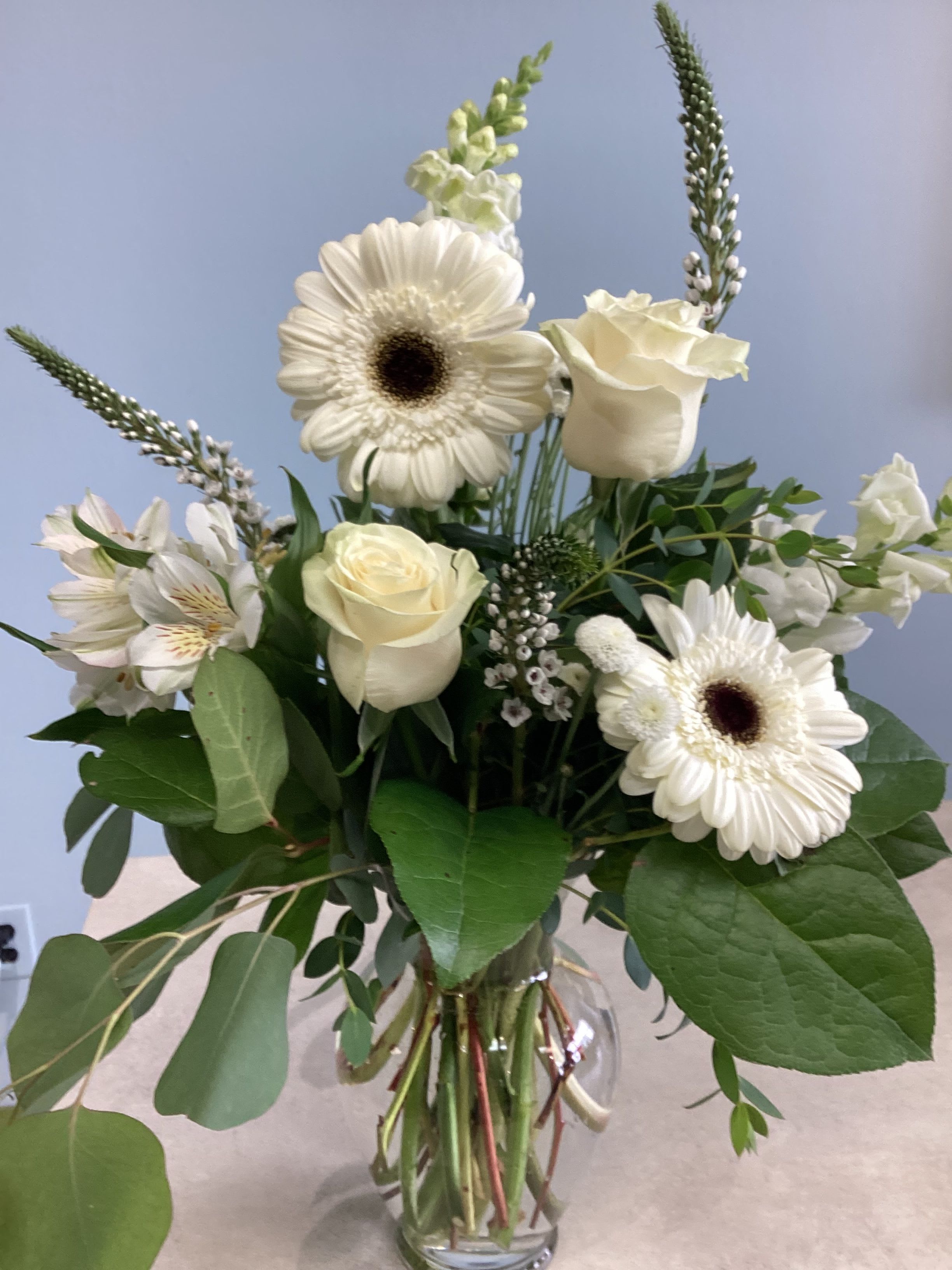 Snowcap Serenity  - White gerbera daisies and cream-white roses create a calm, uplifting arrangement for everyday gifting or a sympathy arrangement - the kind of flower display that lets the person you're thinking of feel gently seen. Snowcap Serenity reads fresh and understated, making it an appropriate choice for a simple celebration, a get-well wish, or a quiet moment of remembrance.  The clear glass vase holds an airy, upright composition of mixed greenery, soft white alstroemeria, and a few tall snapdragon spikes that add graceful height and movement above the main cluster of blooms. The palette of white, green, and soft neutrals emphasizes texture and light rather than bright color, giving the arrangement a layered, garden-style feel that fits easily into a home or office.  Perfect for sending comfort or quiet congratulations, Snowcap Serenity arrives ready to display in its clear vase. To keep the bouquet looking fresh, change the water every couple of days and recut stems at an angle; the arrangement's open, airy design also makes it simple to refresh a few stems if needed.