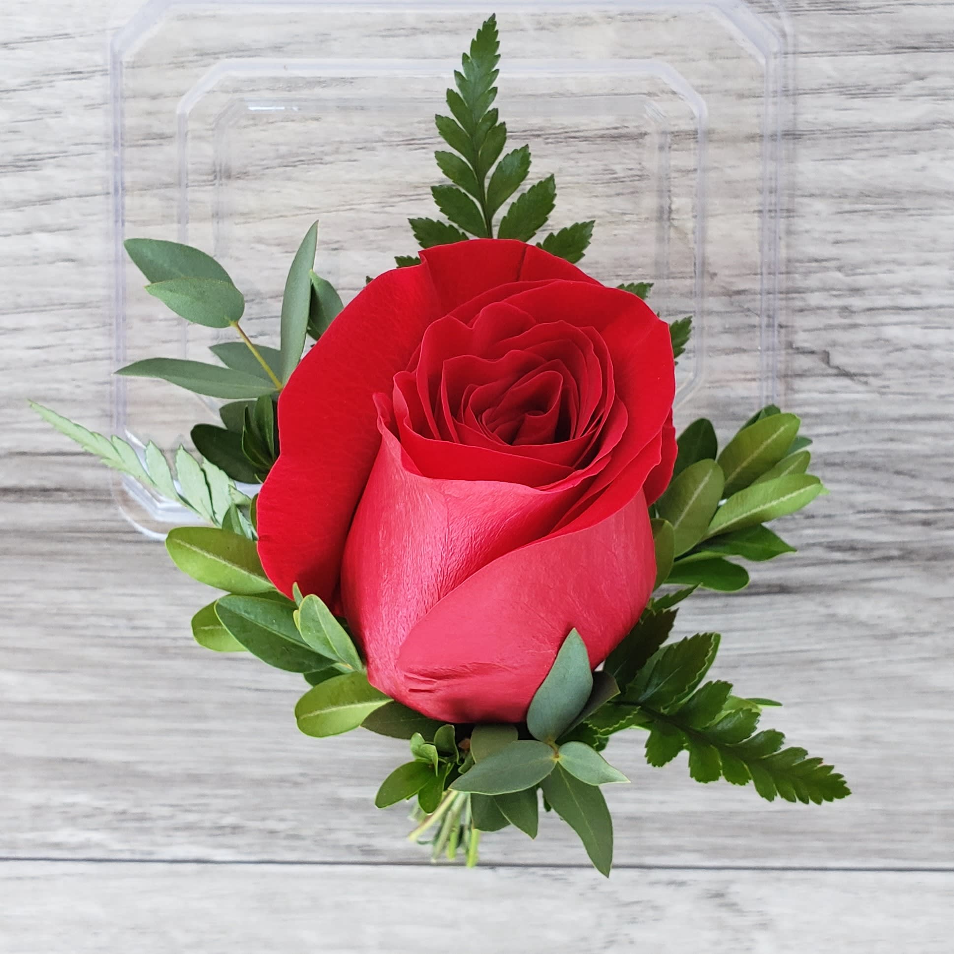 Single red rose with greenery in a clear plastic box
