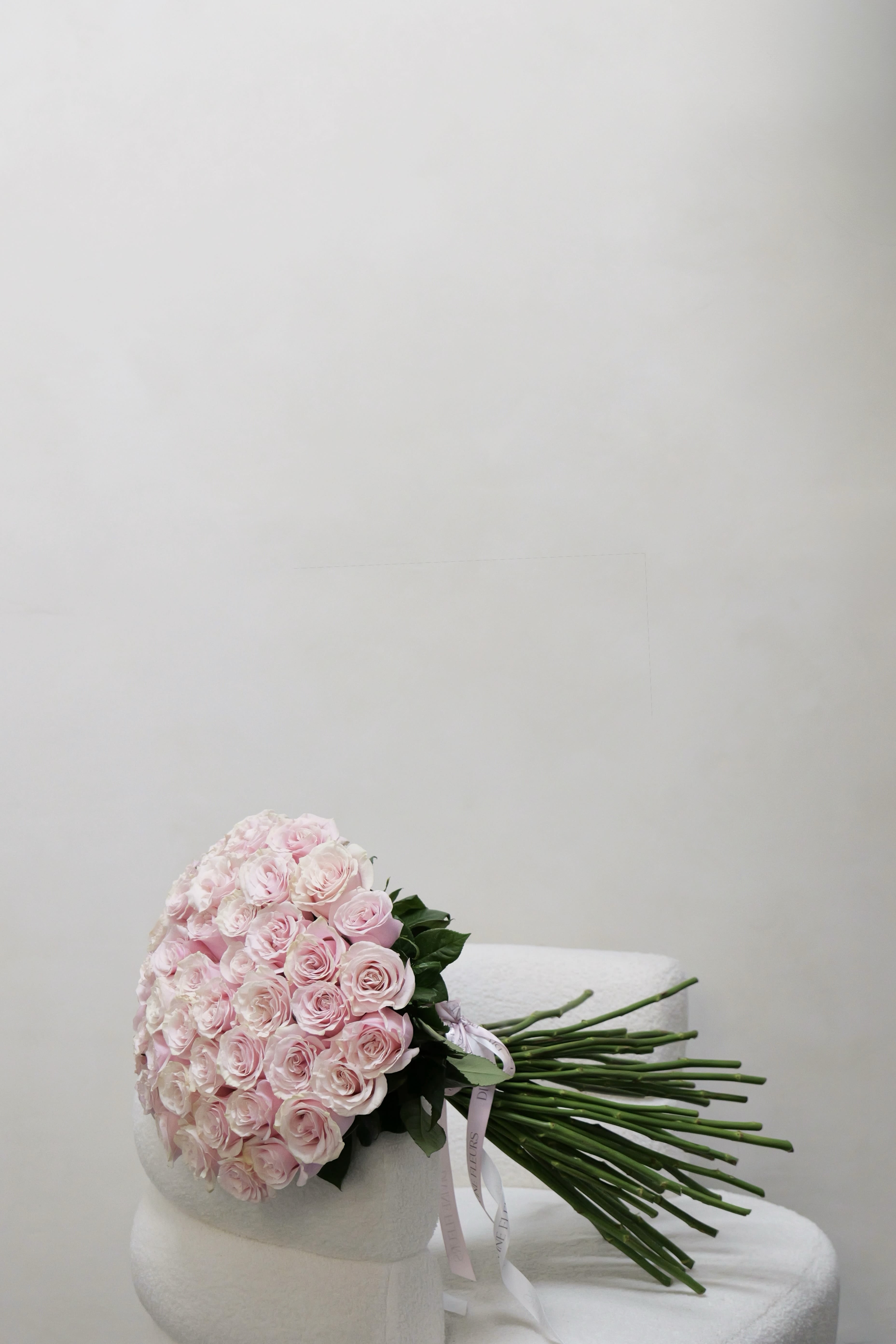 Bouquet of pale pink roses wrapped in white paper