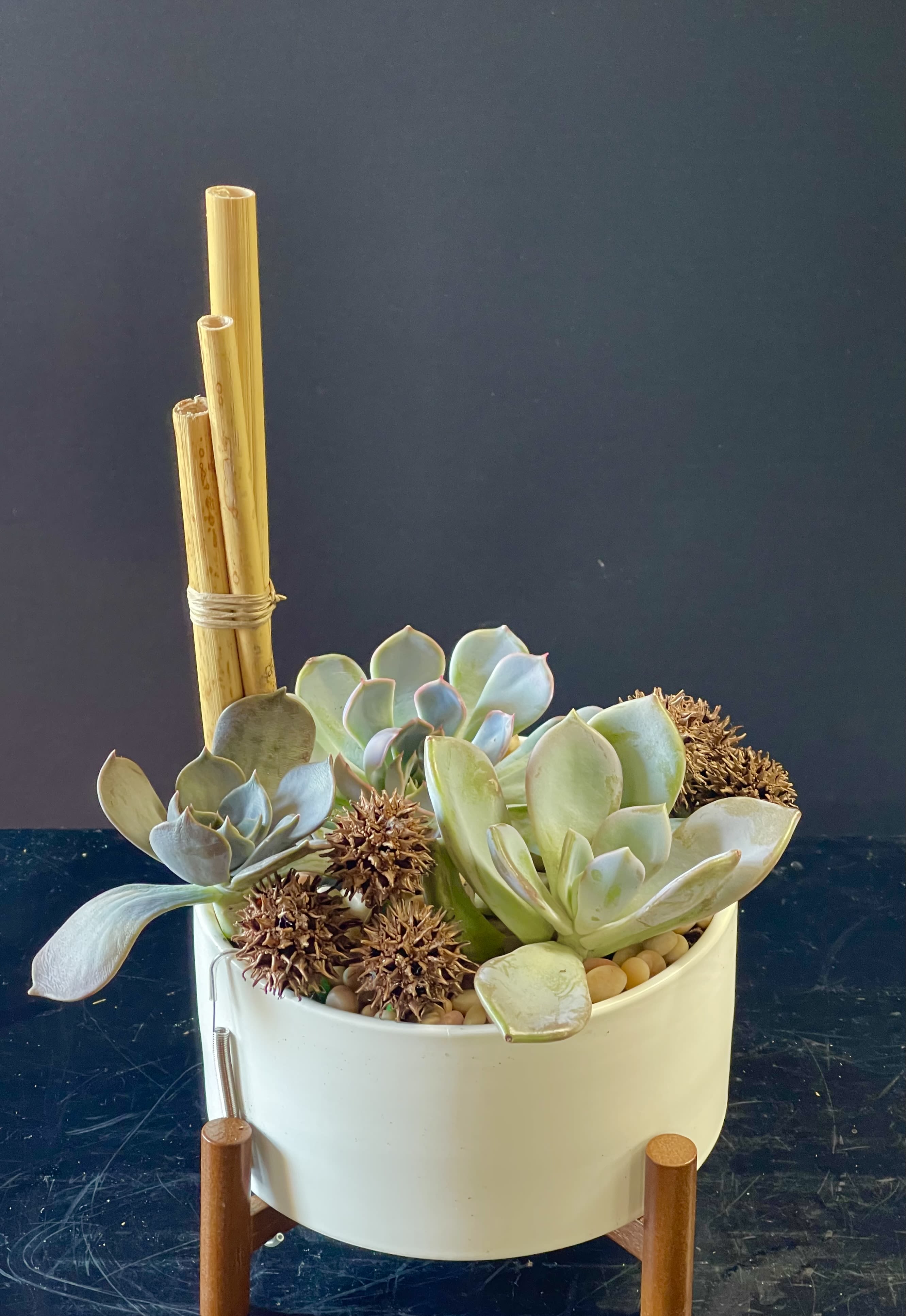 Succulent arrangement in a white pot with bamboo stakes