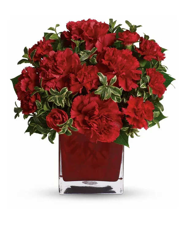 Red carnations arranged in a square glass vase