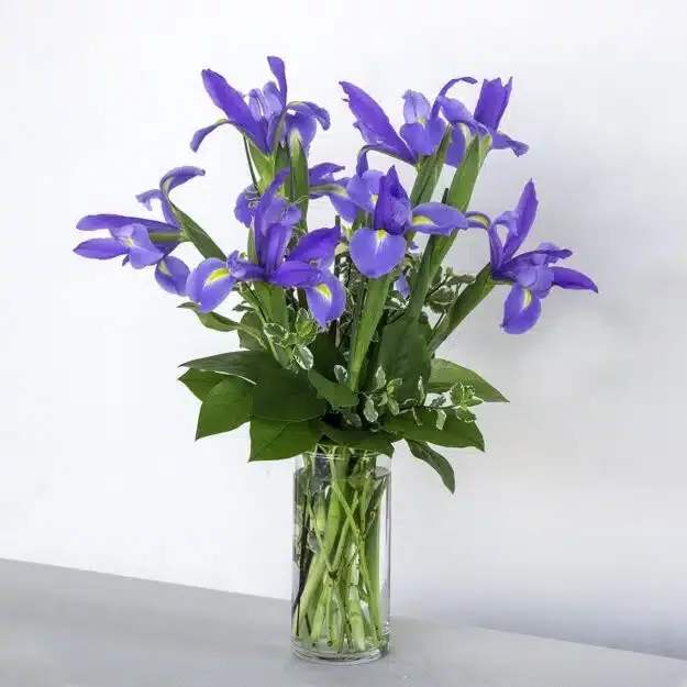 Blooming Iris Bouquet - Our Blooming Iris bouquet is perfect for birthdays, anniversaries, or just because! Our passionate designers can help you send love, happiness, and gratitude to a loved one with this simple, yet stunning purple iris bouquet.