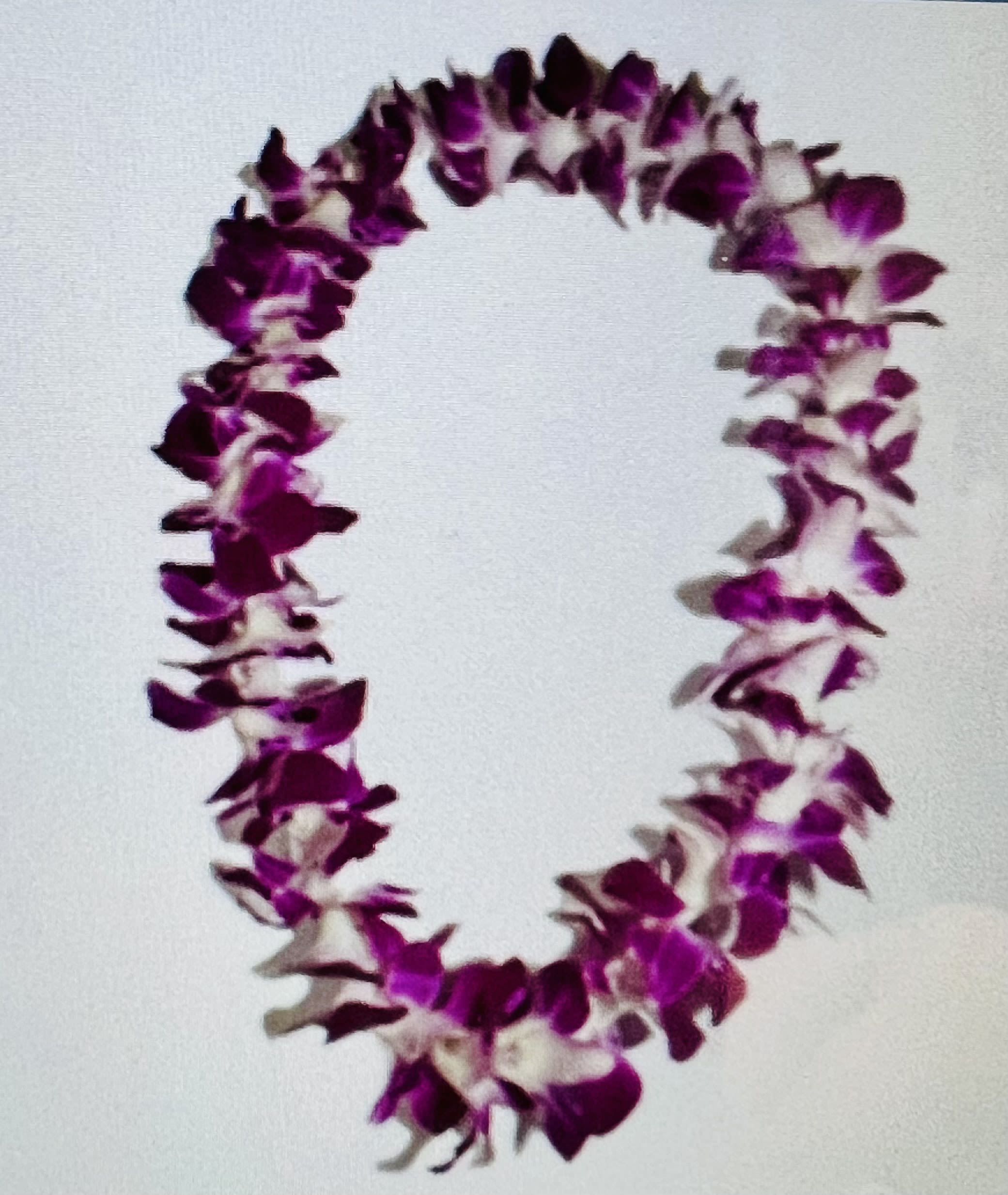 Purple orchid lei on a white background