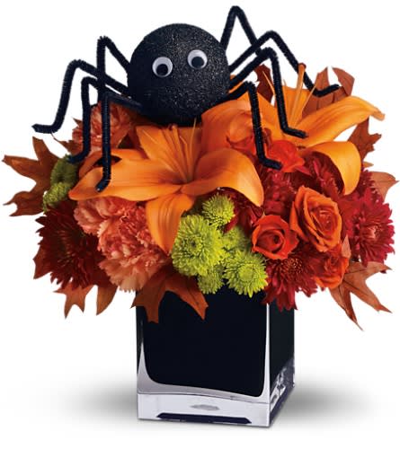 Teleflora's Spooky Sweet - Perhaps this is the perfect WEB bouquet. Perched atop a beautiful array of fall flowers the only place this sweet spider will crawl is right into someone's heart. Orange spray roses asiatic lilies and carnations green button spray chrysanthemums red spray chrysanthemums oak leaves and the not-so-itsy-bitsy-spider are arranged and delivered in a modern black cube. Spooktacular!Approximately 11" W x 12" H Orientation: One-Sided As Shown : T176-2ADeluxe : T176-2BPremium : T176-2C