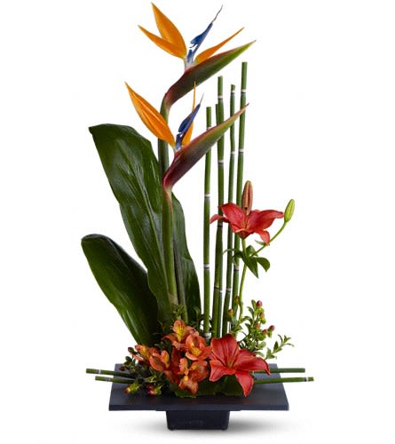 Tropical flower arrangement with bird of paradise and lilies in a black vase