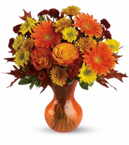 Teleflora's Forever Fall - Go for the golden with sunny orange and yellow flowers in a bright orange Serendipity vase! You won't find a more cheerfully charming party gift. Beautifully affordable too. The exciting bouquet includes orange roses orange gerberas yellow daisy spray chrysanthemums orange cushion spray chrysanthemums and rust button spray chrysanthemums accented with fresh greenery. Delivered in a sparkling orange Serendipity vase.Approximately 15 1/2" W x 16" H Orientation: All-Around As Shown : TEV03-2ADeluxe : TEV03-2BPremium : TEV03-2C