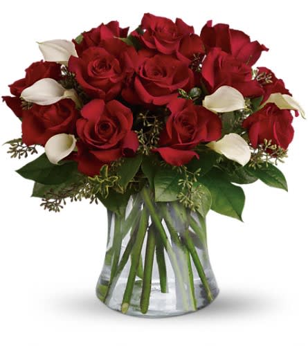 Be Still My Heart - Dozen Red Roses - The look of love is charmingly reflected in this romantic array of red roses and fragrant white callas. Beautifully presented in a sparkling glass vase these gorgeous flowers will say what's in your heart more eloquently than words. The gorgeous bouquet features one dozen red roses and a half dozen miniature white calla lilies accented with assorted greenery.Approximately 15 1/2" W x 15 1/2" H Orientation: All-Around As Shown : TRS02-1ADeluxe : TRS02-1BPremium : TRS02-1C