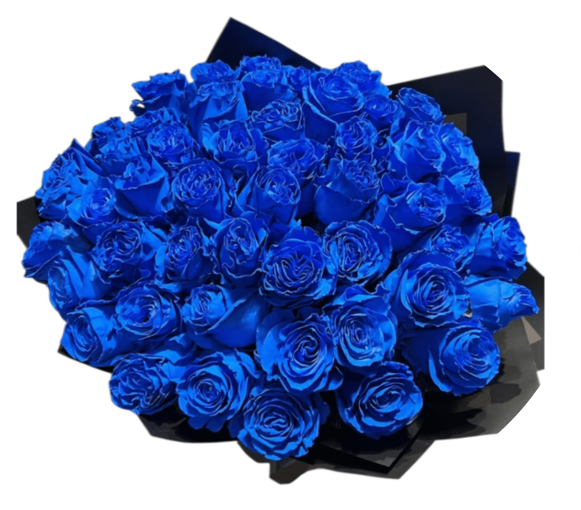 Manya Blue Roses. - Vivid cobalt-blue roses gathered into a tight, rounded dome make an unforgettable romantic bouquet or celebration gift. The saturated blue petals read bold and modern against the jet-black wrapping paper, producing a high‑contrast, stylized look that's perfect when you want the person you're thinking of to feel seen and admired.  Dense, tightly packed roses create a polished, gift‑ready silhouette with strong visual impact; the bouquet appears medium to large in scale and is styled for dramatic presentation. The black wrapping adds a formal, contemporary edge that suits anniversaries, milestone birthdays, or any occasion where an unconventional, statement-making floral gift is desired. Care: keep stems in fresh water and out of direct sunlight to preserve the dyed color and shape.