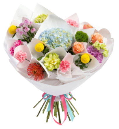 MISS PORTEZUELO BOUQUETS MIX FLOWERS - A large pale blue hydrangea crown takes center stage in this mixed hand-tied bouquet, making MISS PORTEZUELO a joyful choice for a birthday bouquet, congratulations gift, or an uplifting just-because surprise. The playful spectrum of pink, yellow, orange, purple and fresh green blooms around the hydrangea creates an immediate sense of celebration-she'll feel genuinely seen when she opens this bright, modern arrangement.  Closely wrapped in white paper with layered cone-style presentation, the bouquet mixes hydrangeas, roses, carnations, chrysanthemums, dahlias and other seasonal florals for a rounded, textural look. Pink and blue ribbon tails finish the polished gift-ready package. Compact but abundant, the design reads as cheerful and lively, perfect for sending warm wishes or marking a happy milestone.  Ideal for friends, family members, or coworkers who love color, MISS PORTEZUELO pairs well with a short, handwritten note and arrives ready to display-no extra vase required for immediate impact. For best freshness, keep in cool water away from direct sunlight and refresh the stems every couple of days.