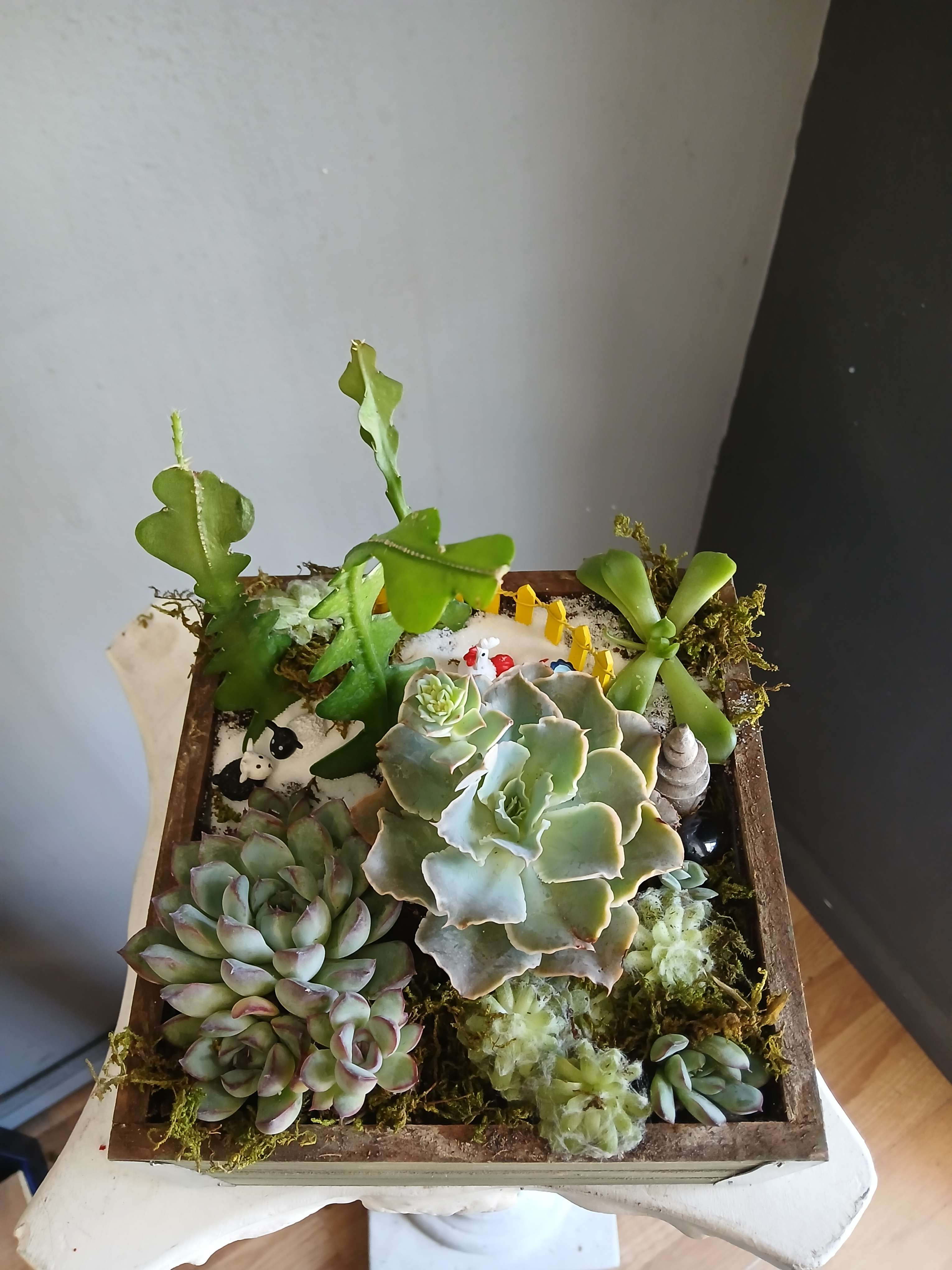 Succulent arrangement in a wooden tray with small decorative figures