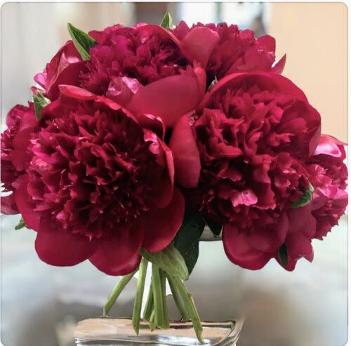 Bouquet of deep pink peonies in a glass vase