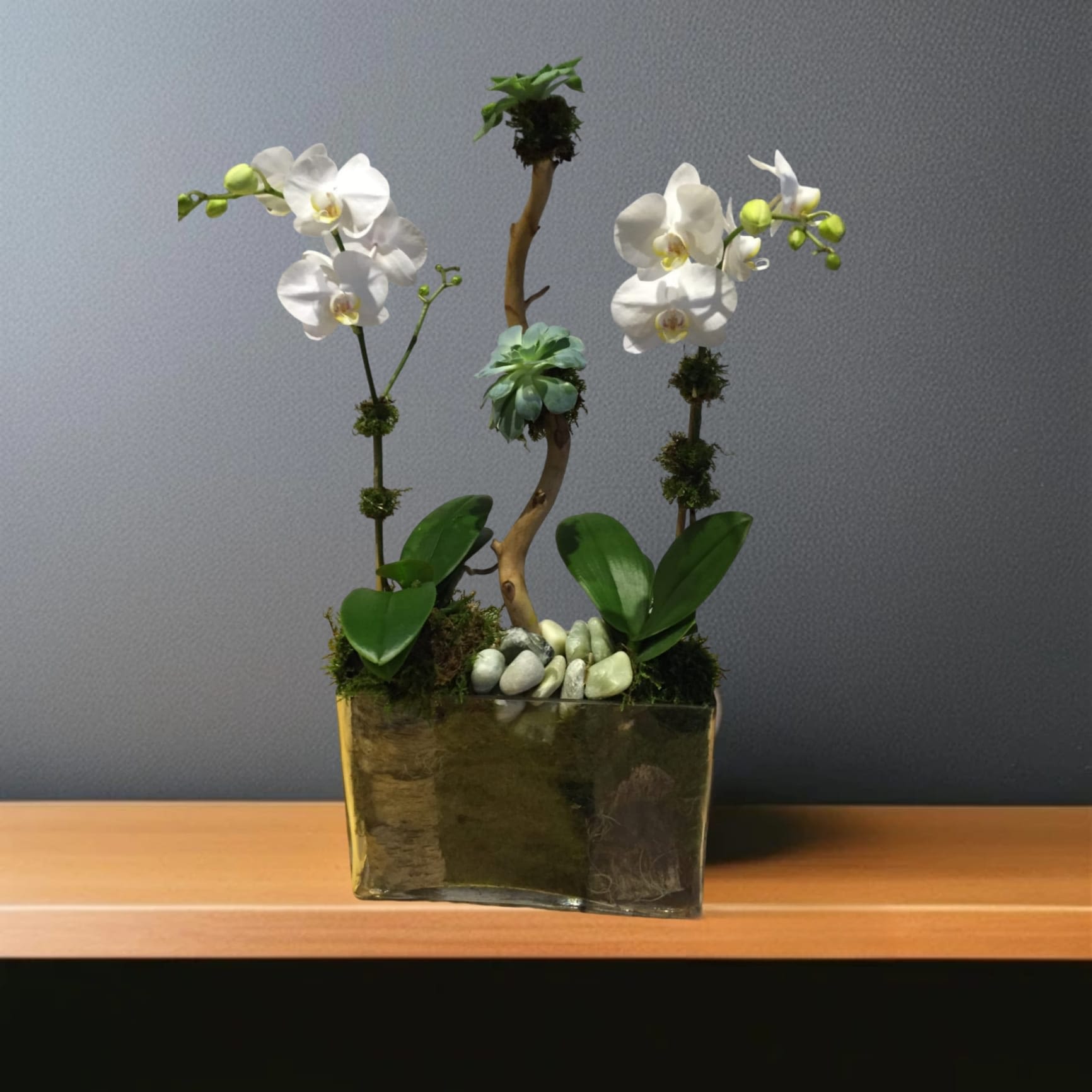 Orchid and succulent arrangement in a rectangular vase with decorative stones