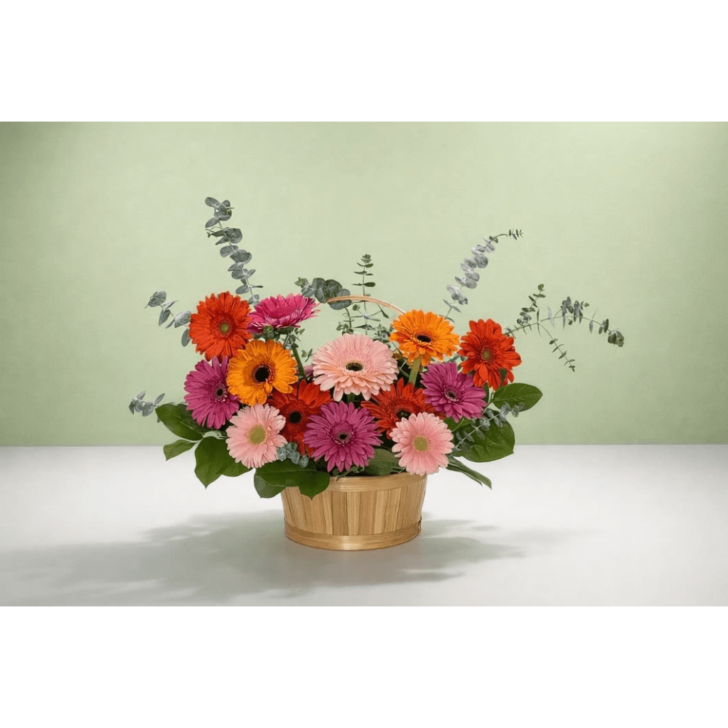 Basket of colorful gerbera daisies with eucalyptus accents