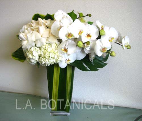 White orchids and cream hydrangeas in a tall green vase