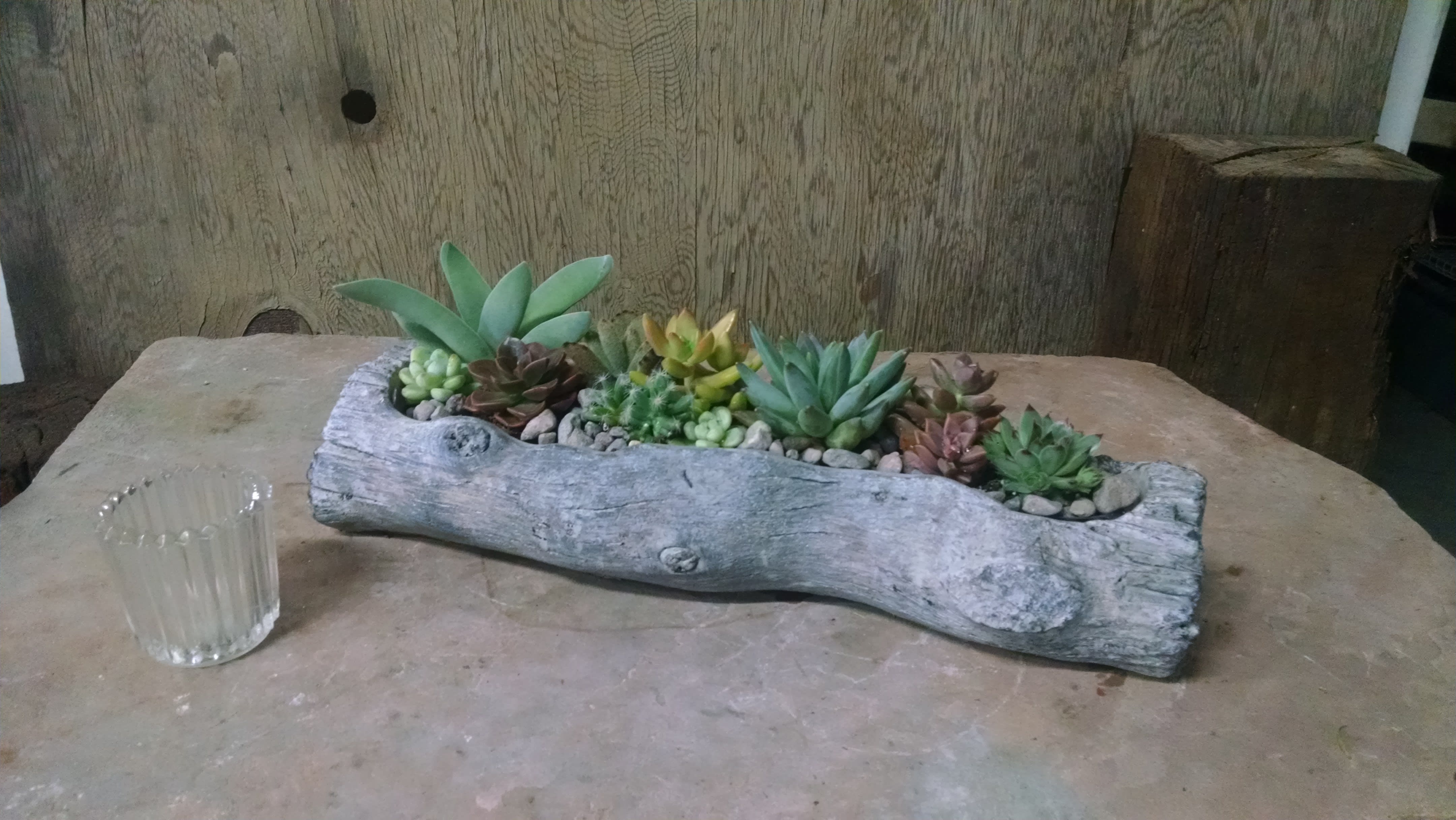 Succulent arrangement in a driftwood planter beside a small glass votive