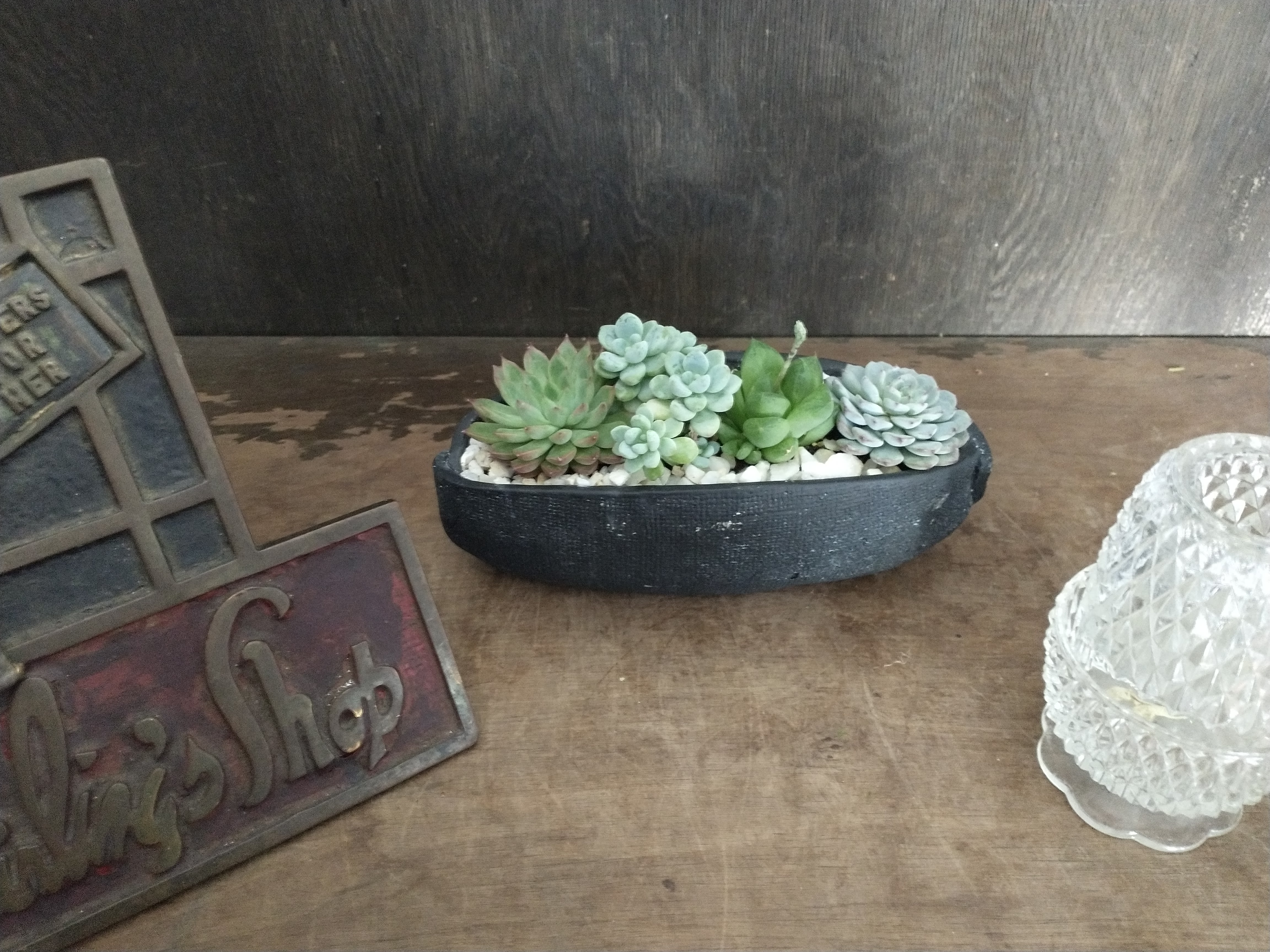 Succulent arrangement in a black oval planter with white stones