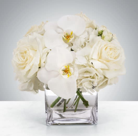 Linen by BloomNation™ - This petite all-white arrangement featuring hydrangea and orchids is the perfect all-occasion gift. Send it for any holiday, event, or circumstance.  