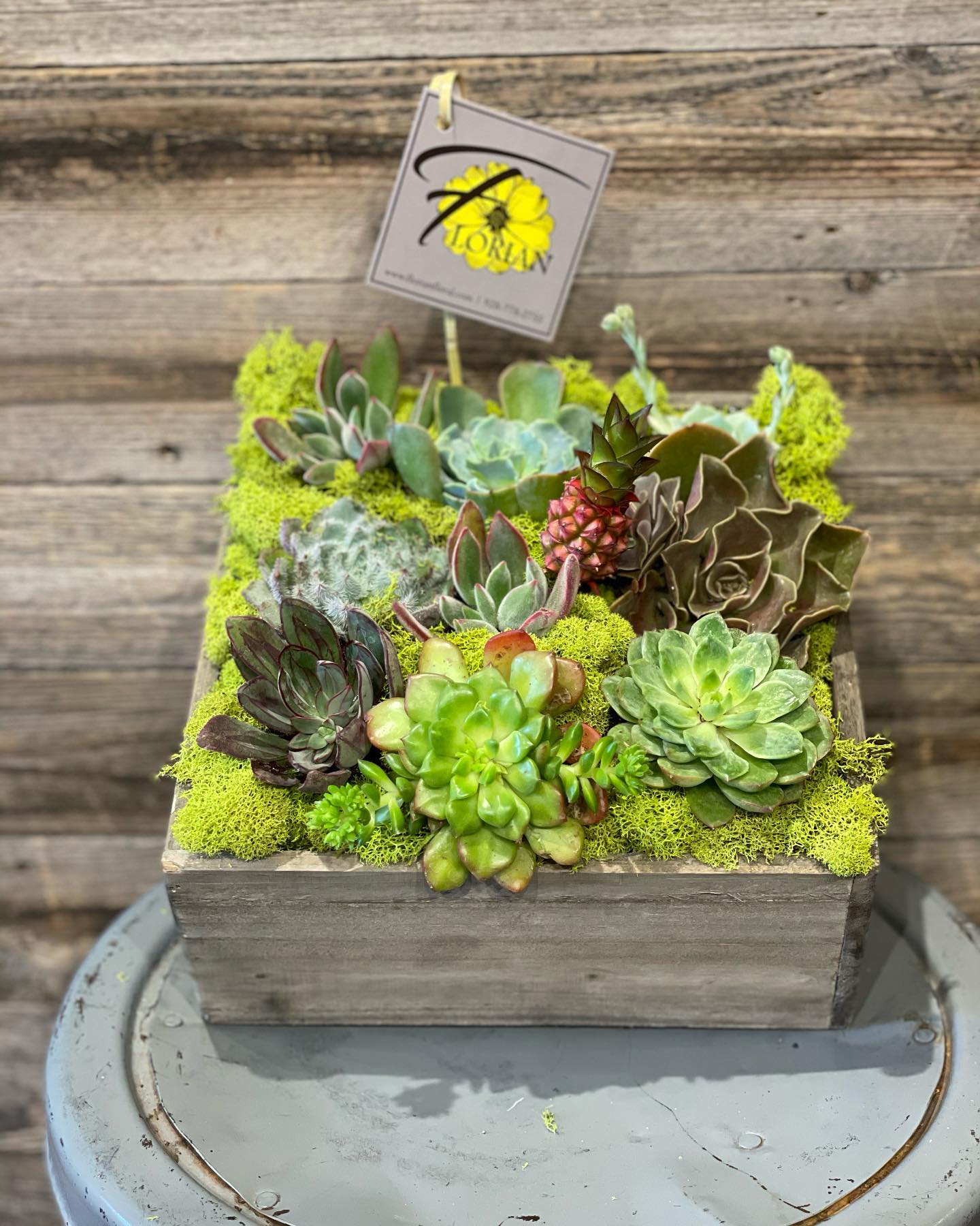 Square wooden planter filled with assorted succulents and moss with a small branded card pick.