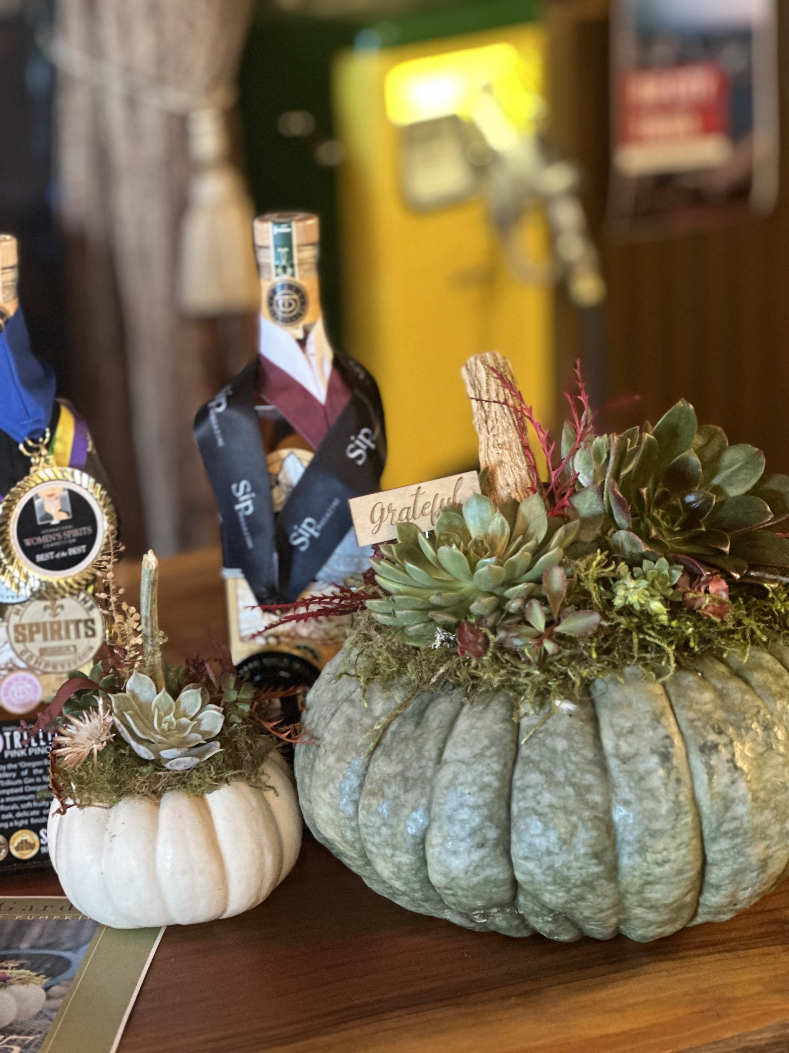 Succulent arrangements in painted pumpkins on a table